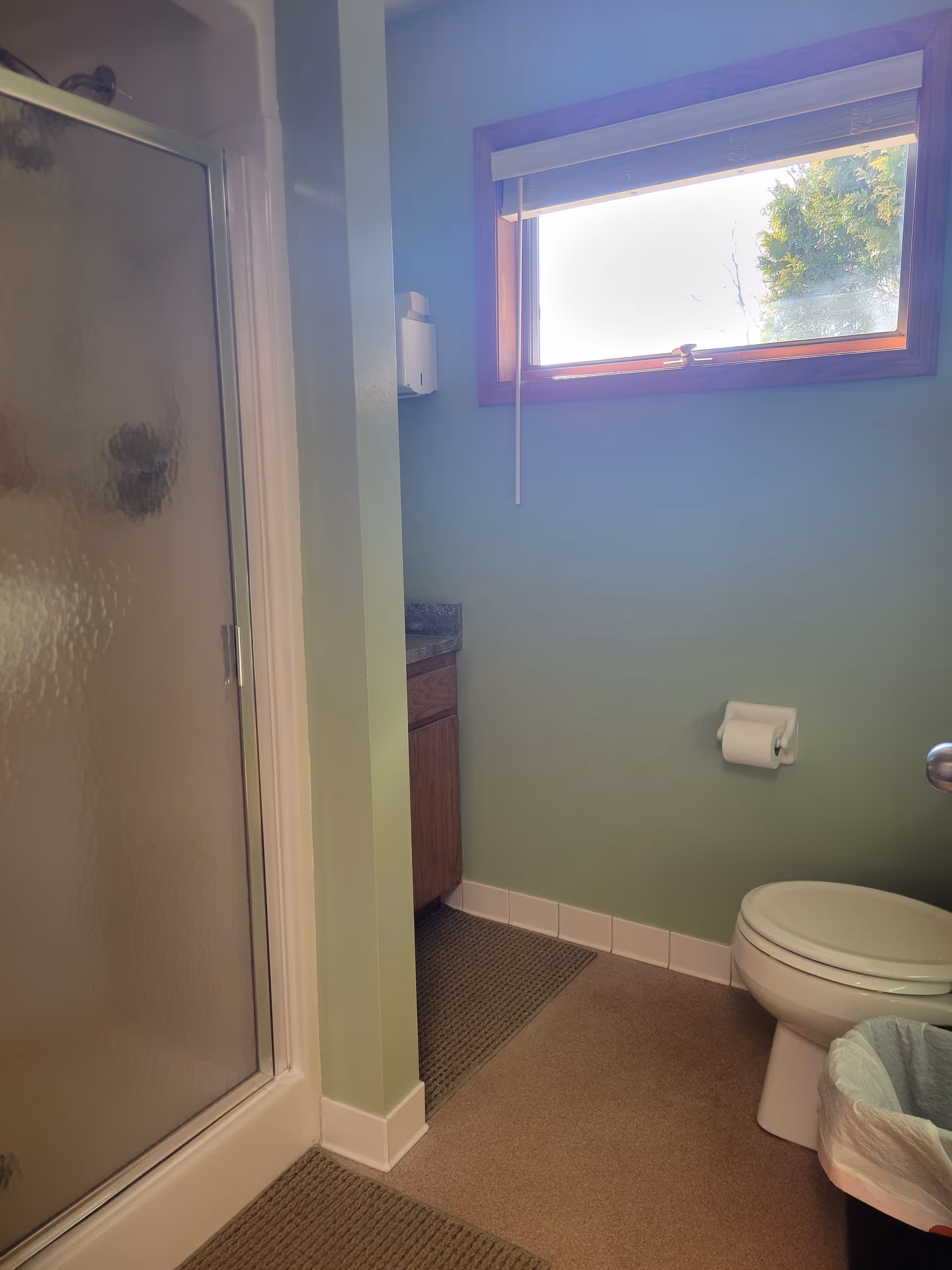 Green bathroom with shower, toilet, small vanity, and a window providing natural light.