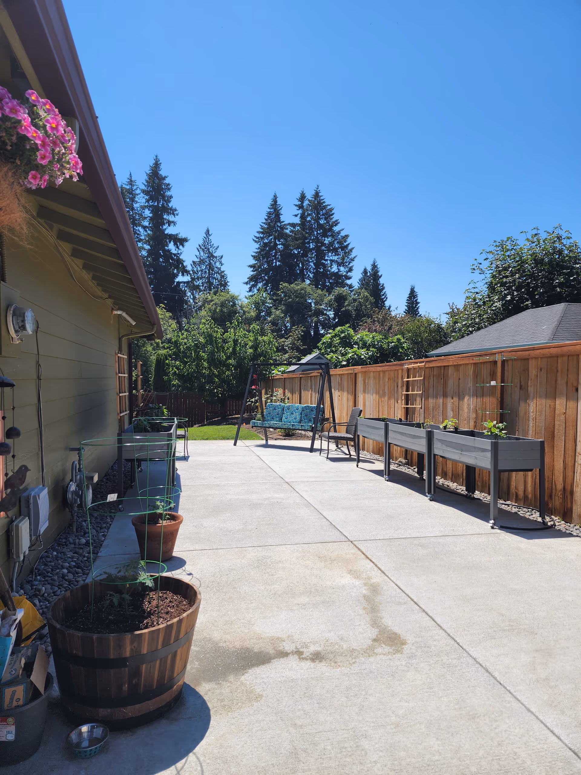 Sunny backyard patio with planters, a swing bench, and a wooden fence.