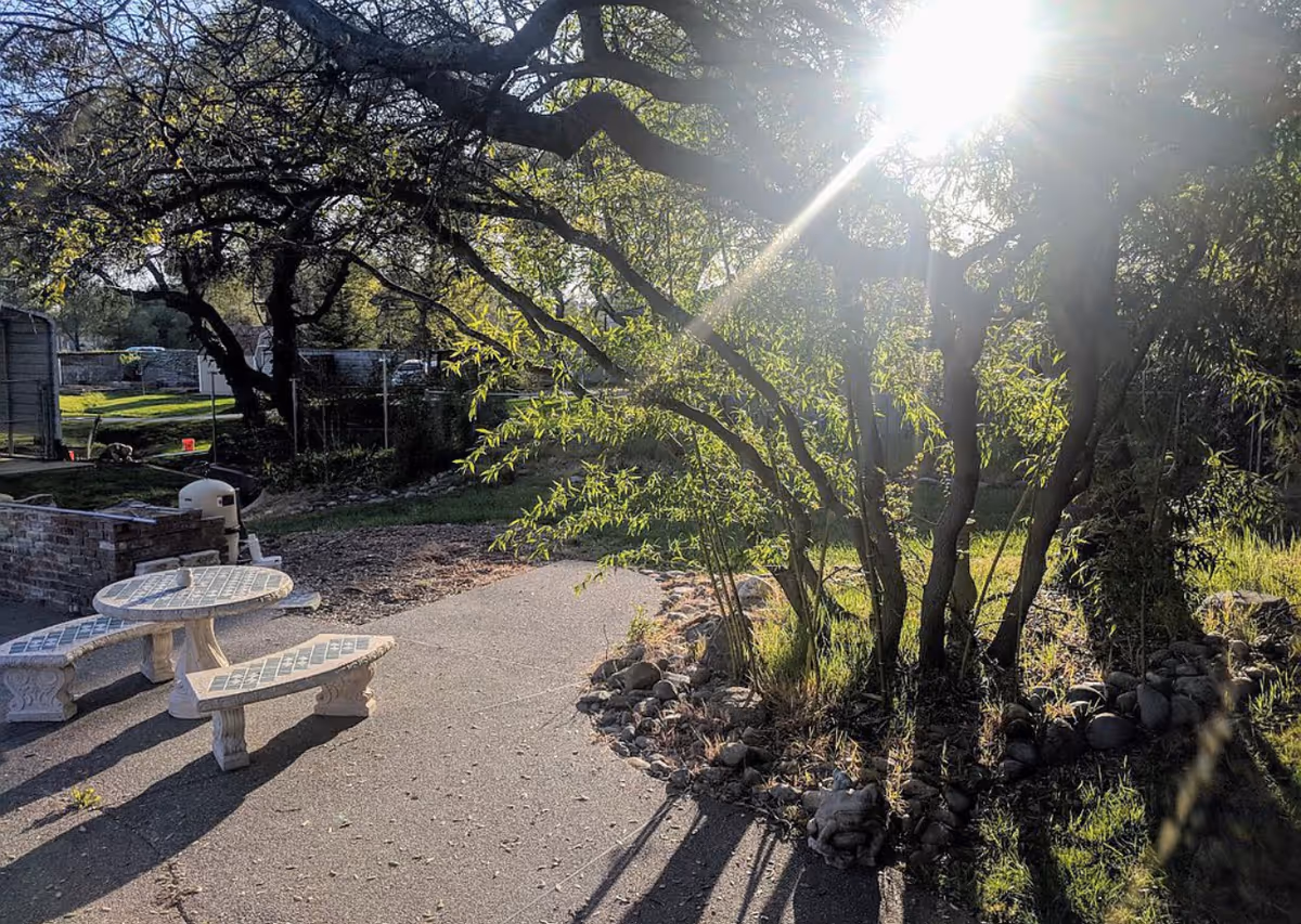 Sunlit outdoor courtyard with a concrete path, stone-edged garden beds, and a white picnic table.