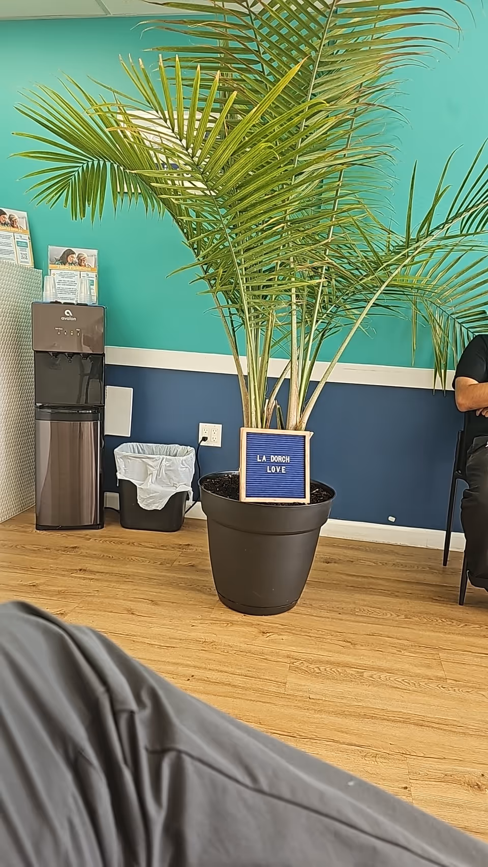 Indoor lobby area with a large potted palm, water cooler, and brochures.