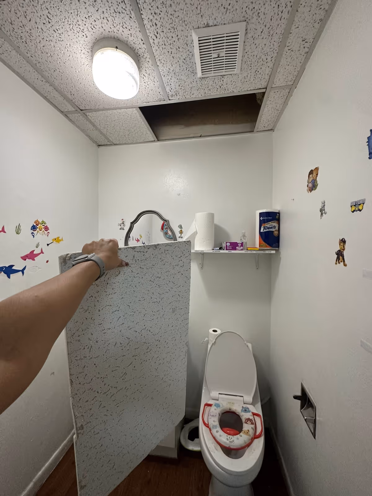 Arm in frame holds a bathroom partition panel beside a toilet.