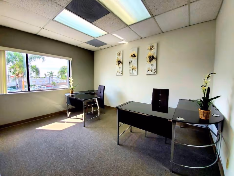 Small office space with two glass desks, chairs, plants, and wall art near a window.