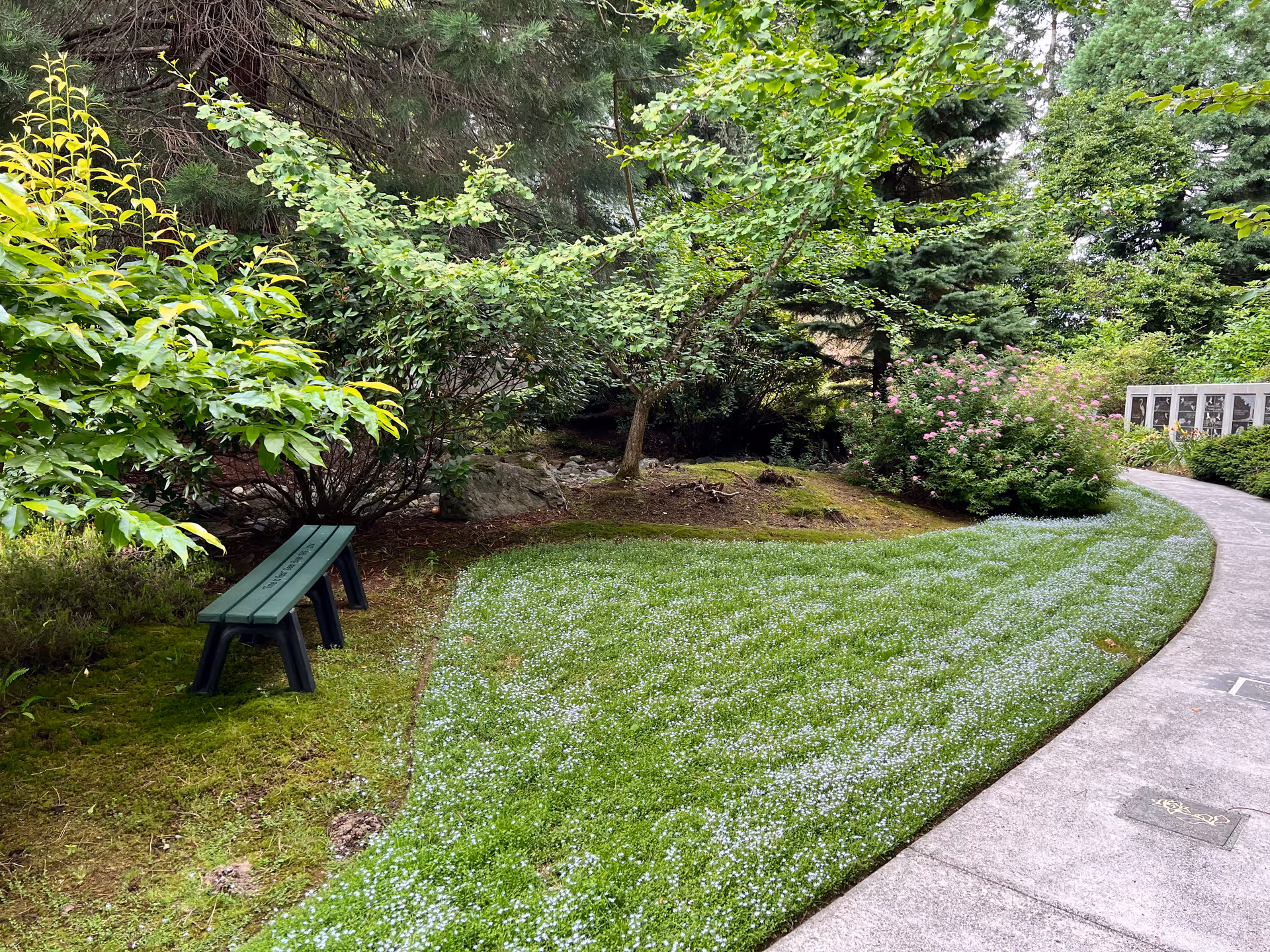 Serene outdoor garden with curved path, bench, and lush shrubs.