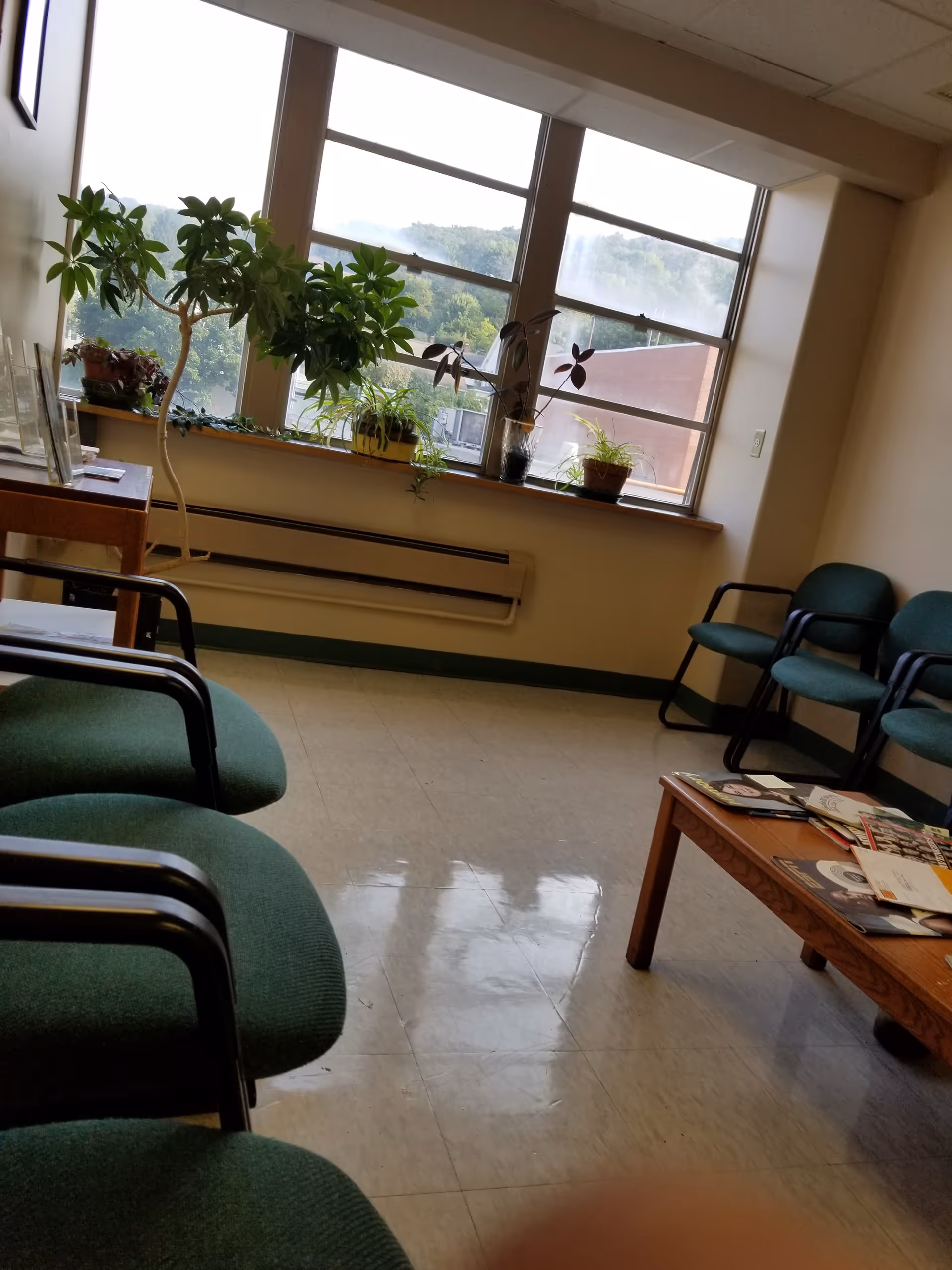 Waiting area with green chairs, potted plants on a window ledge, and magazines on a table.