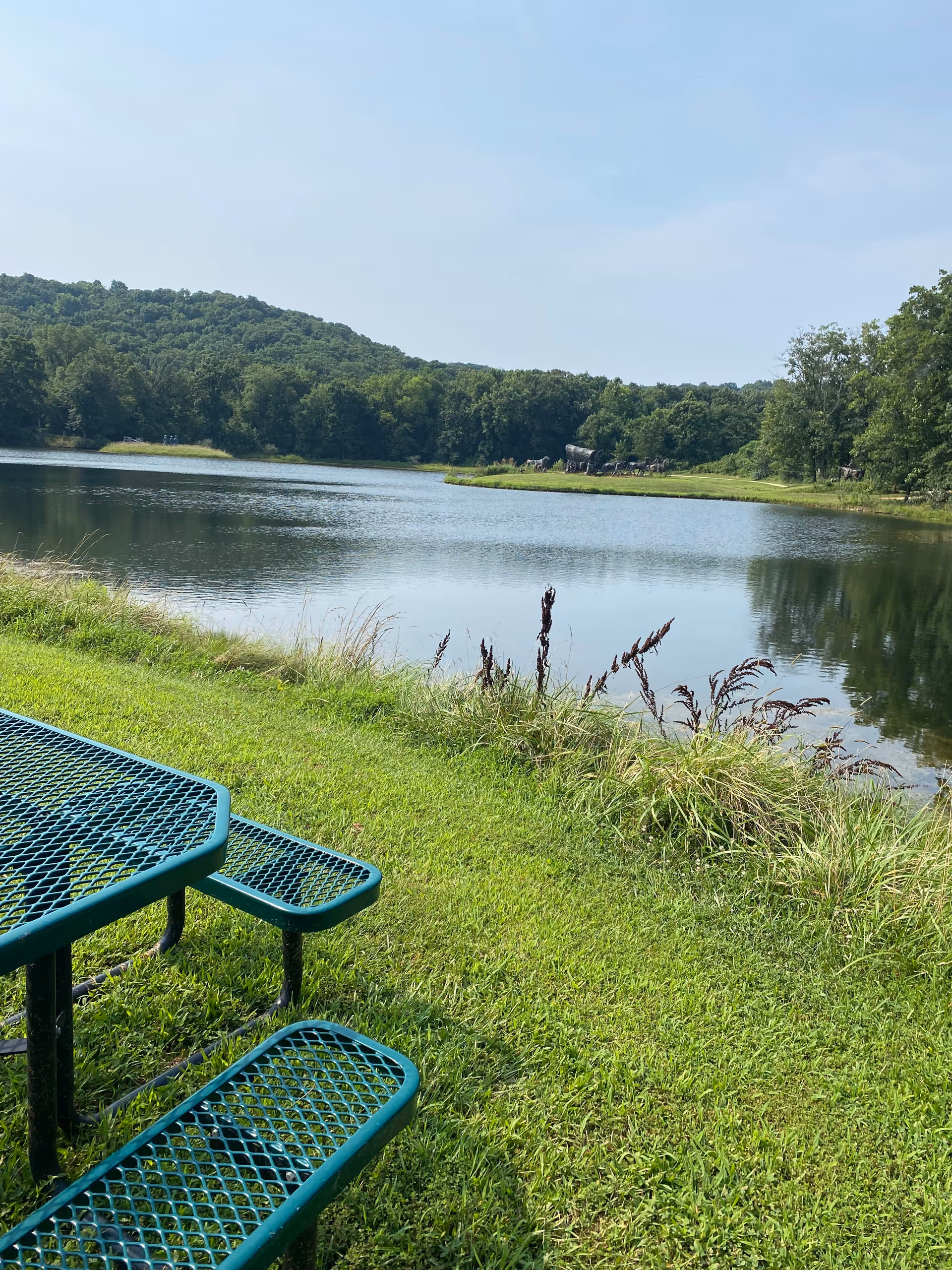 Grassy lakeside scene with turquoise metal picnic table beside calm water and trees.