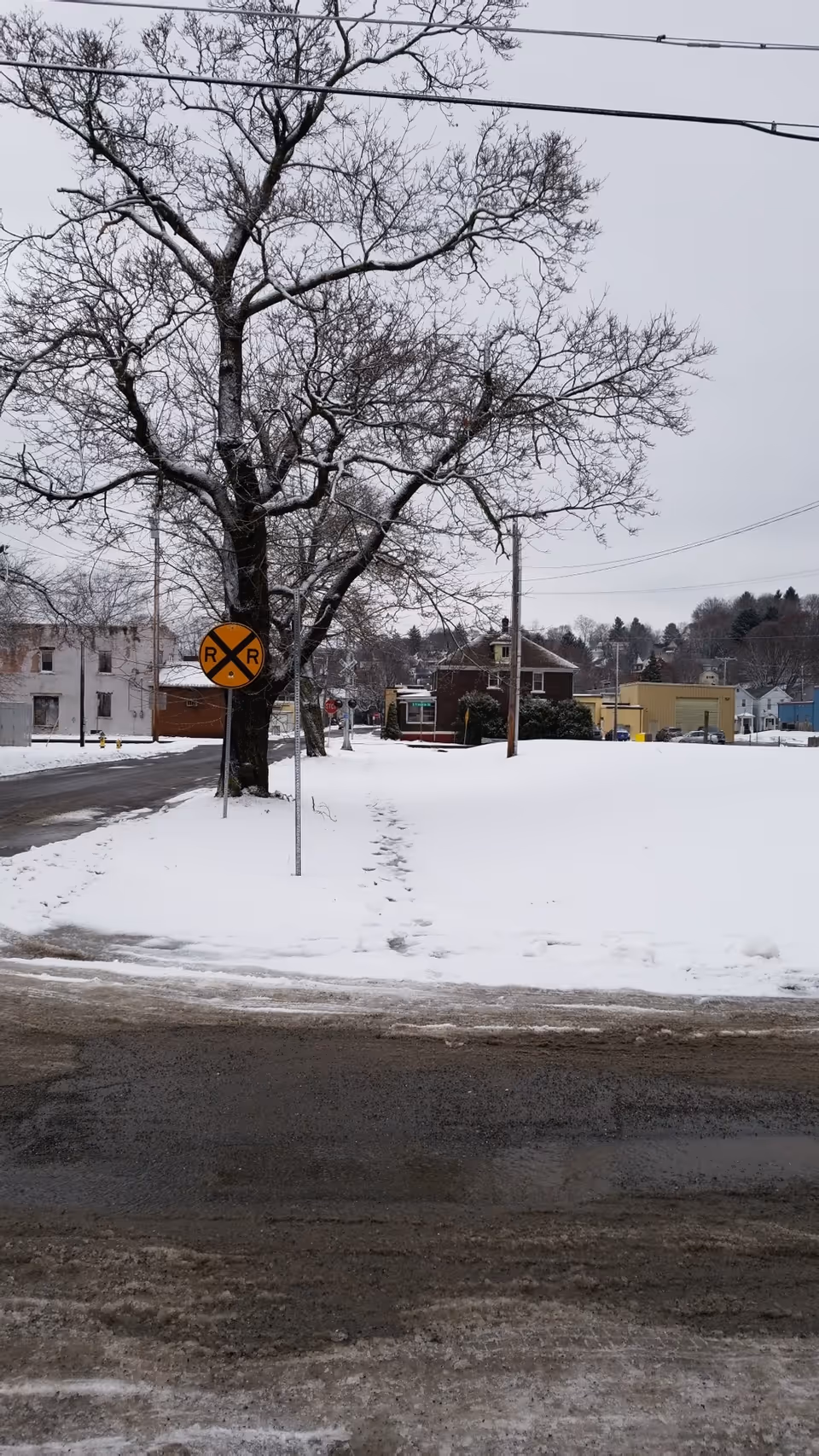 Snow-covered street with a large bare tree, railroad crossing sign, and distant buildings.