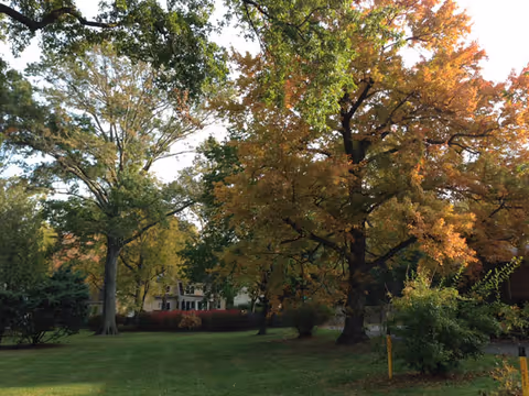Exterior view of a senior care facility with trees and a grassy lawn.