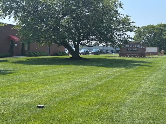 Sunlit lawn with a large tree and a Plumbers Union Local 680 sign near a building.