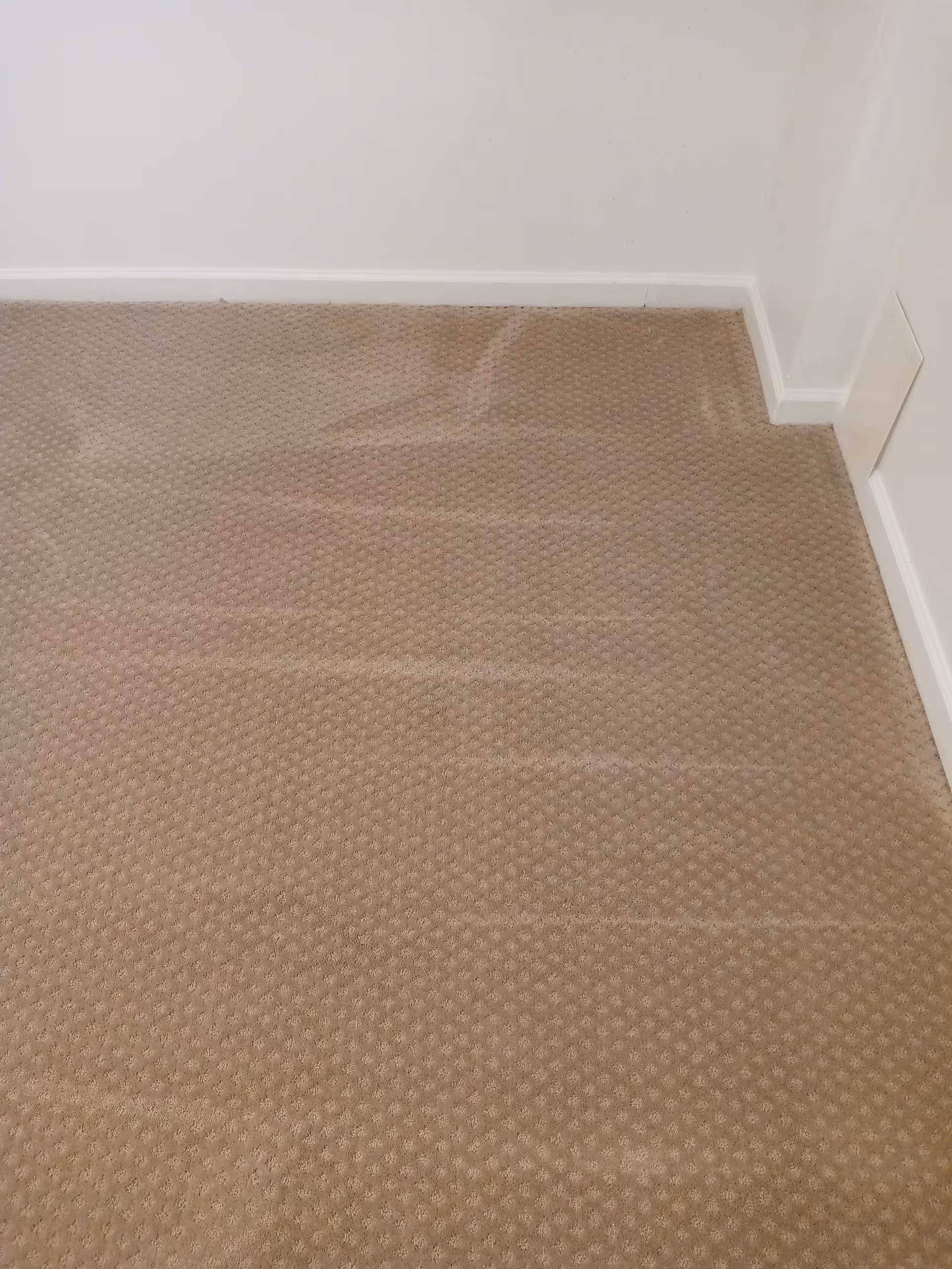 Corner of a beige carpeted room with white walls and baseboard.