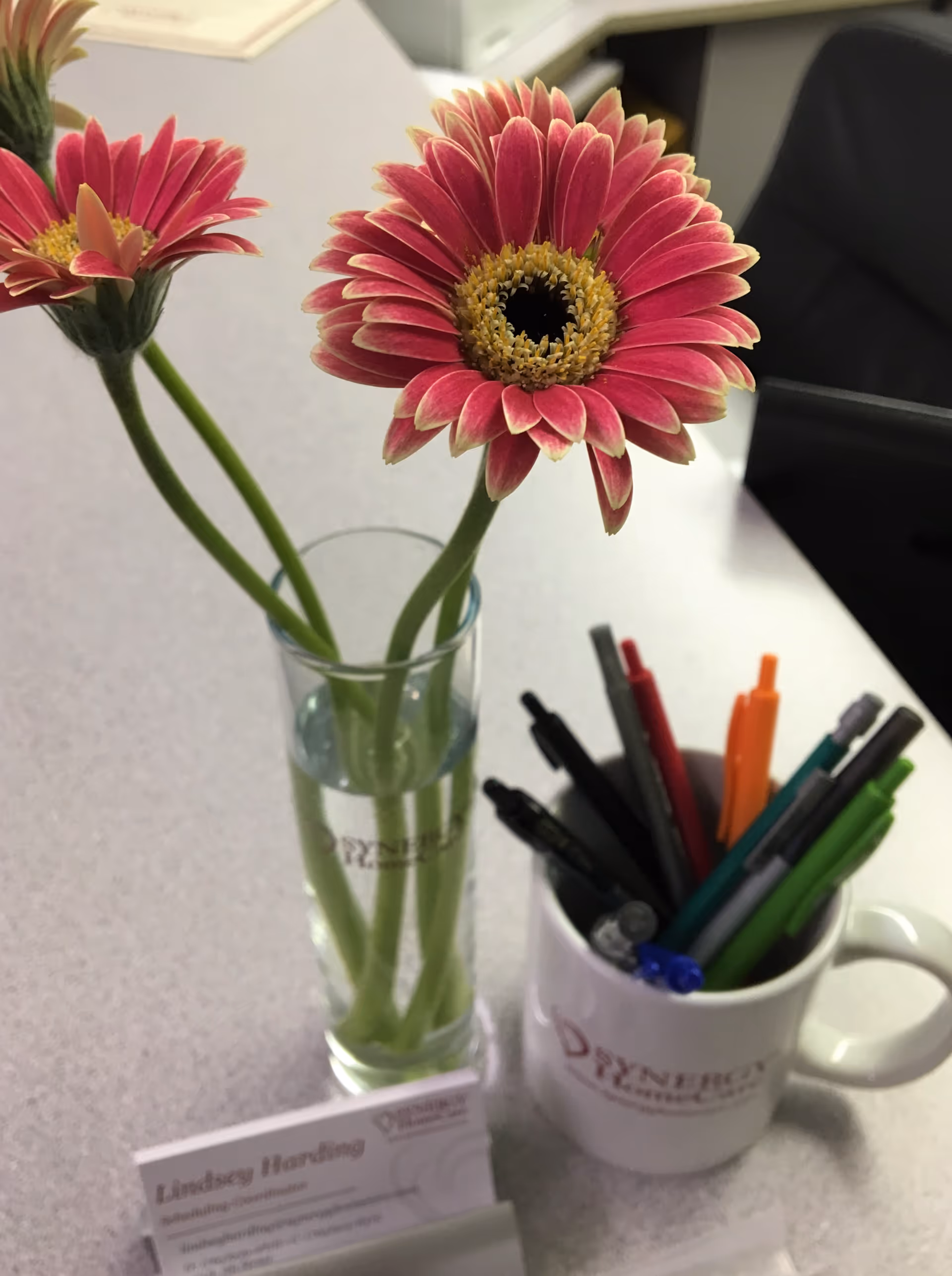 Close-up of pink gerbera daisies in a glass vase on a desk with colorful pens.