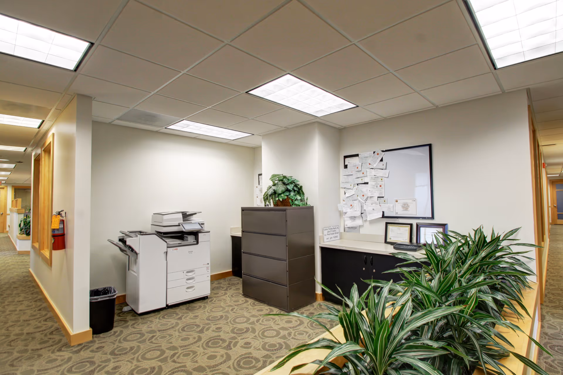 Office-like reception area with copier, filing cabinet, bulletin board, and lush plants