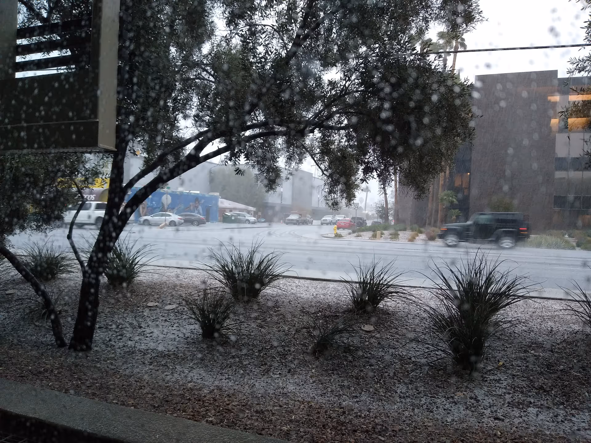 Rainy exterior view of a facility with cars, trees, and wet pavement.