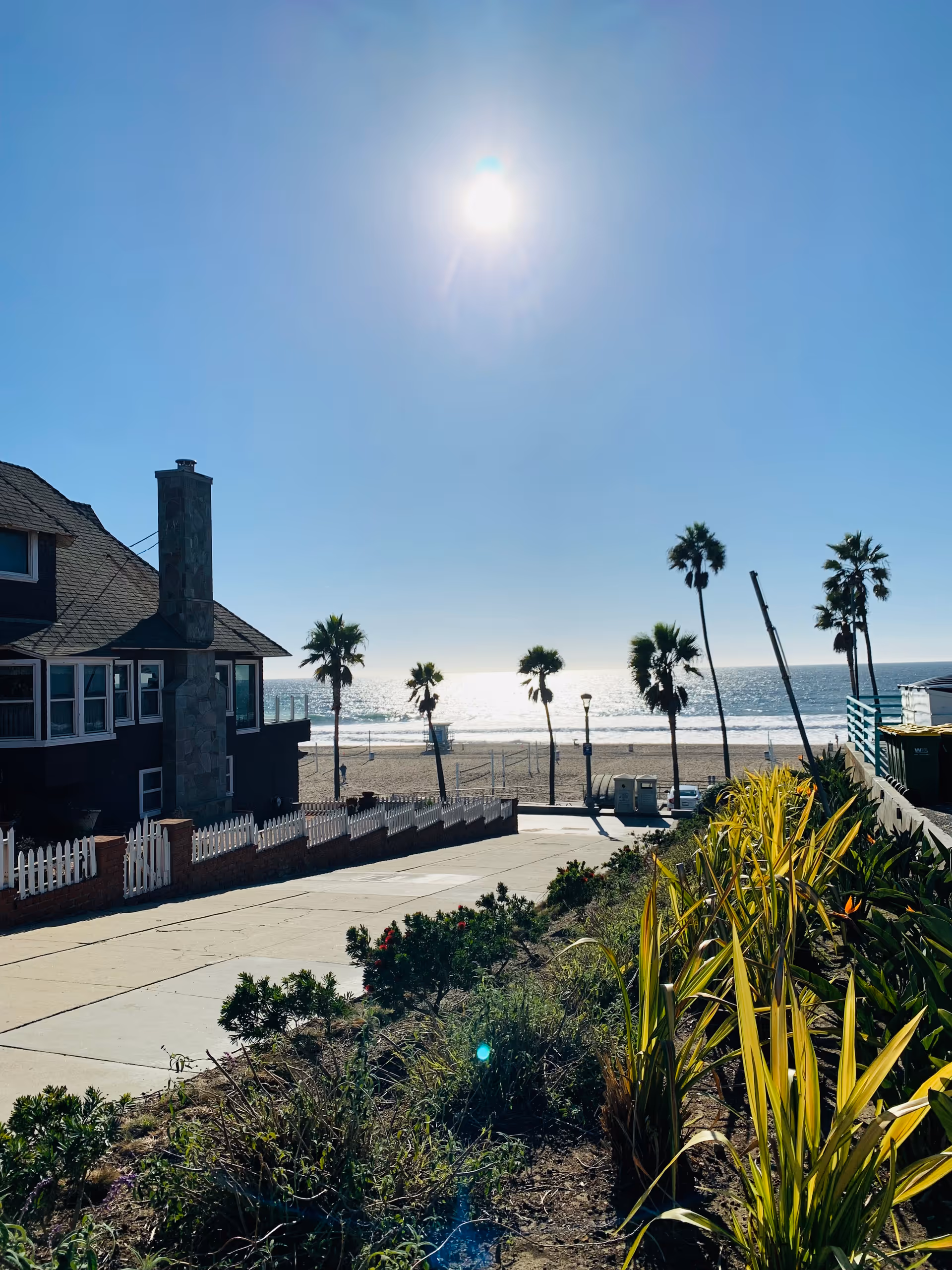 Sunny beachfront view with a house-like building, palm trees, and a garden path along the shore.