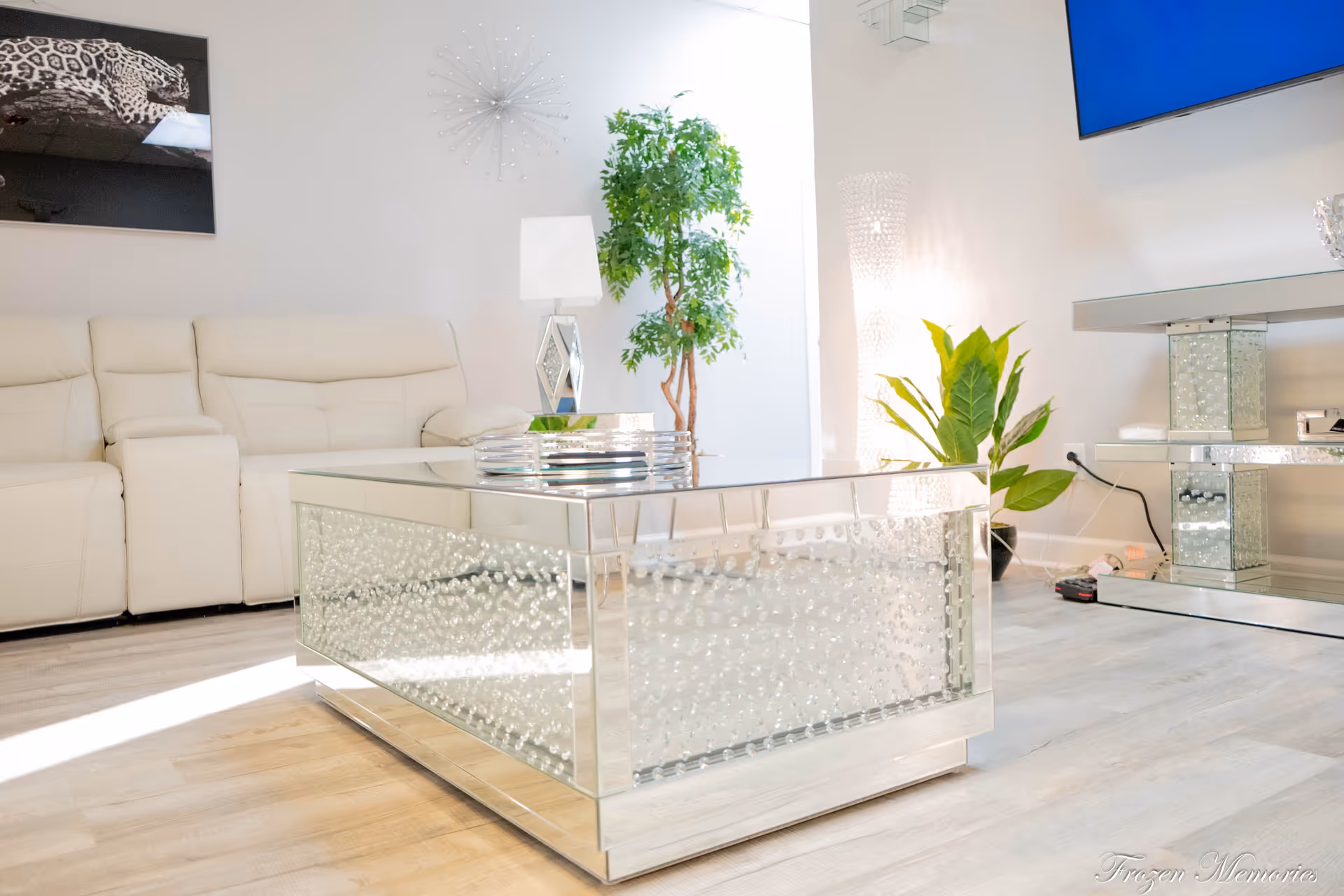 Bright modern living room with white sofa, glass coffee table, and green plants.