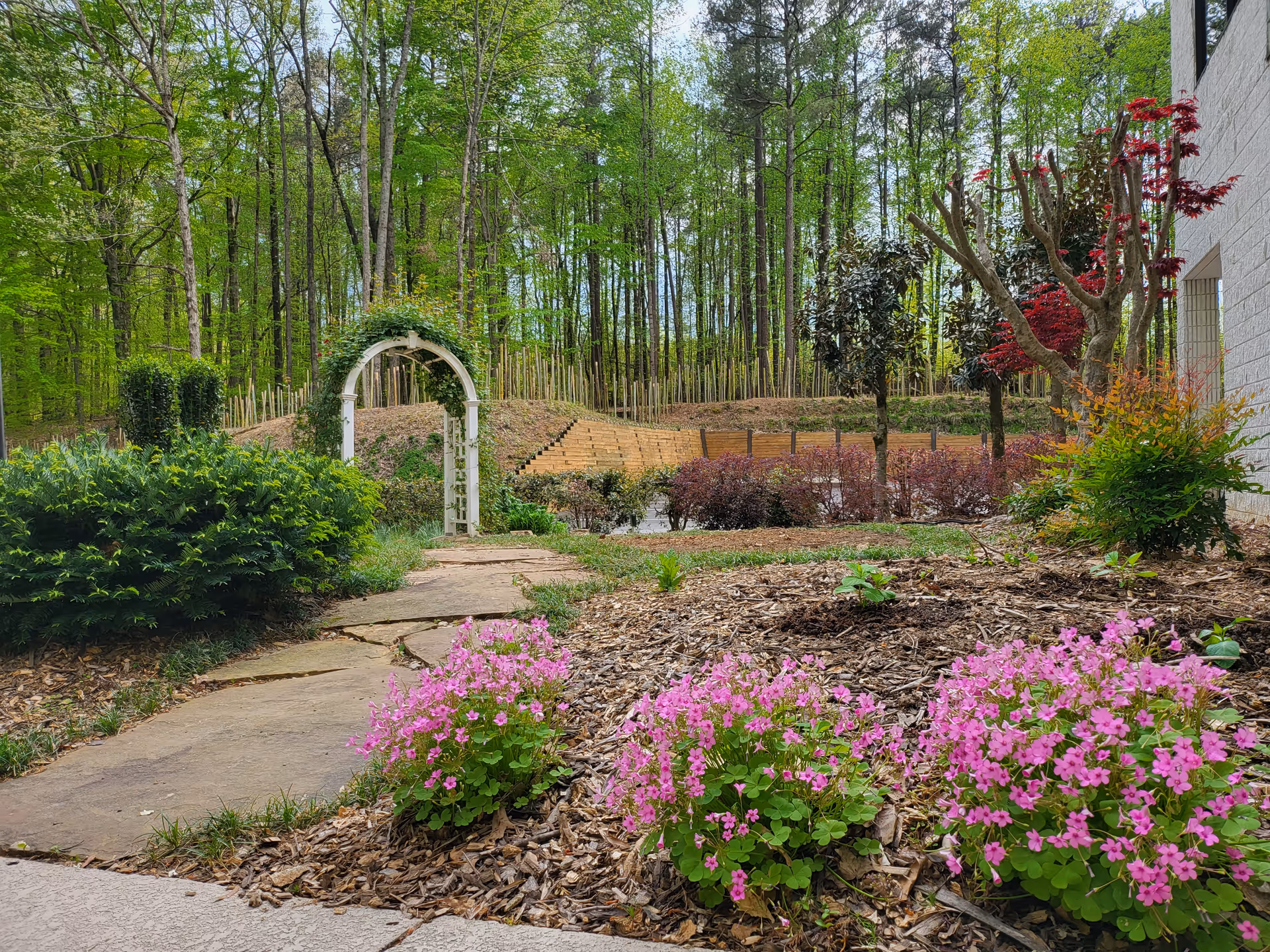 A landscaped garden pathway with an arch, blooming flowers, shrubs, and trees near a building.