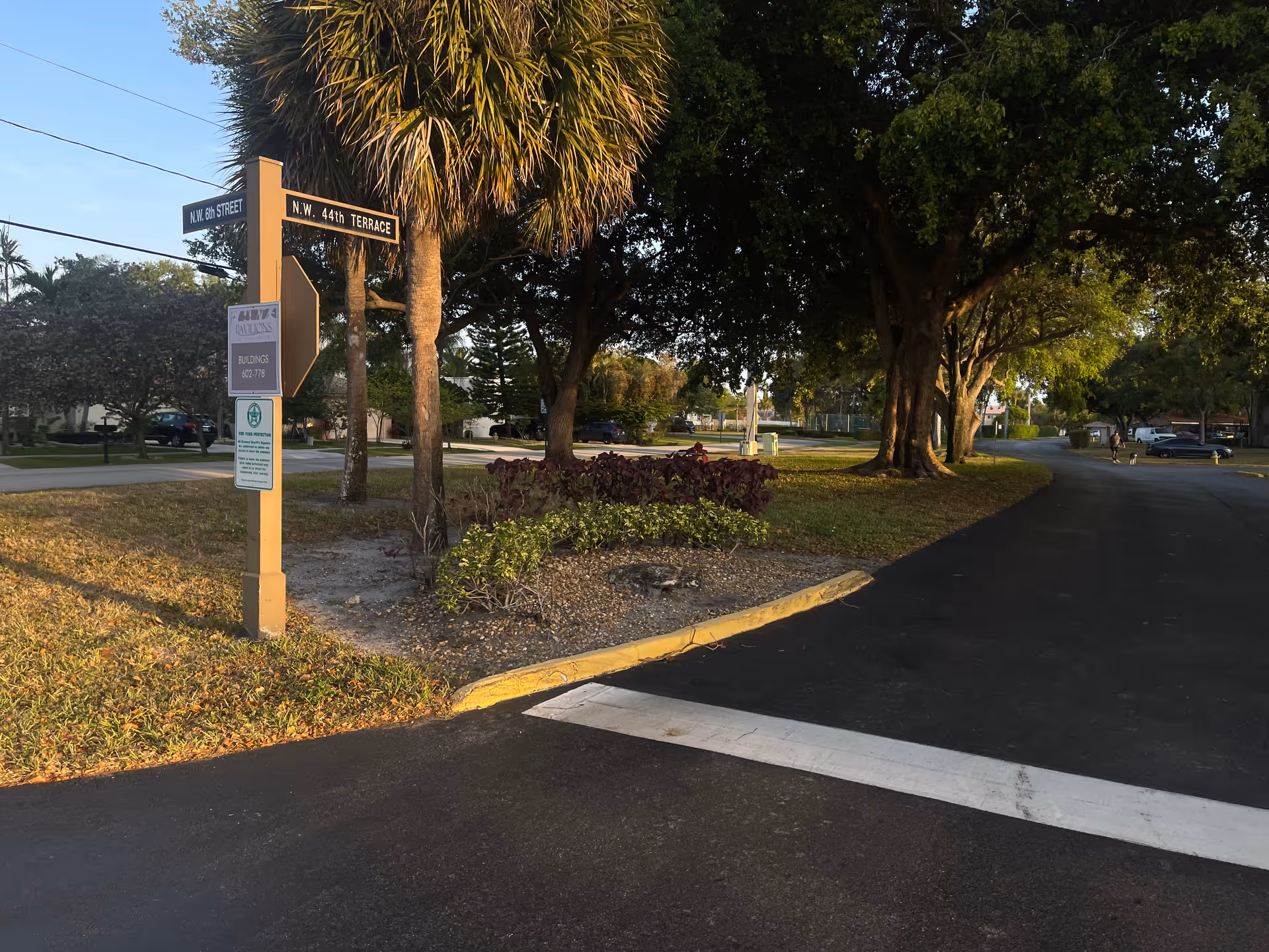 Sunlit street corner with palm trees, road, and directional signpost.