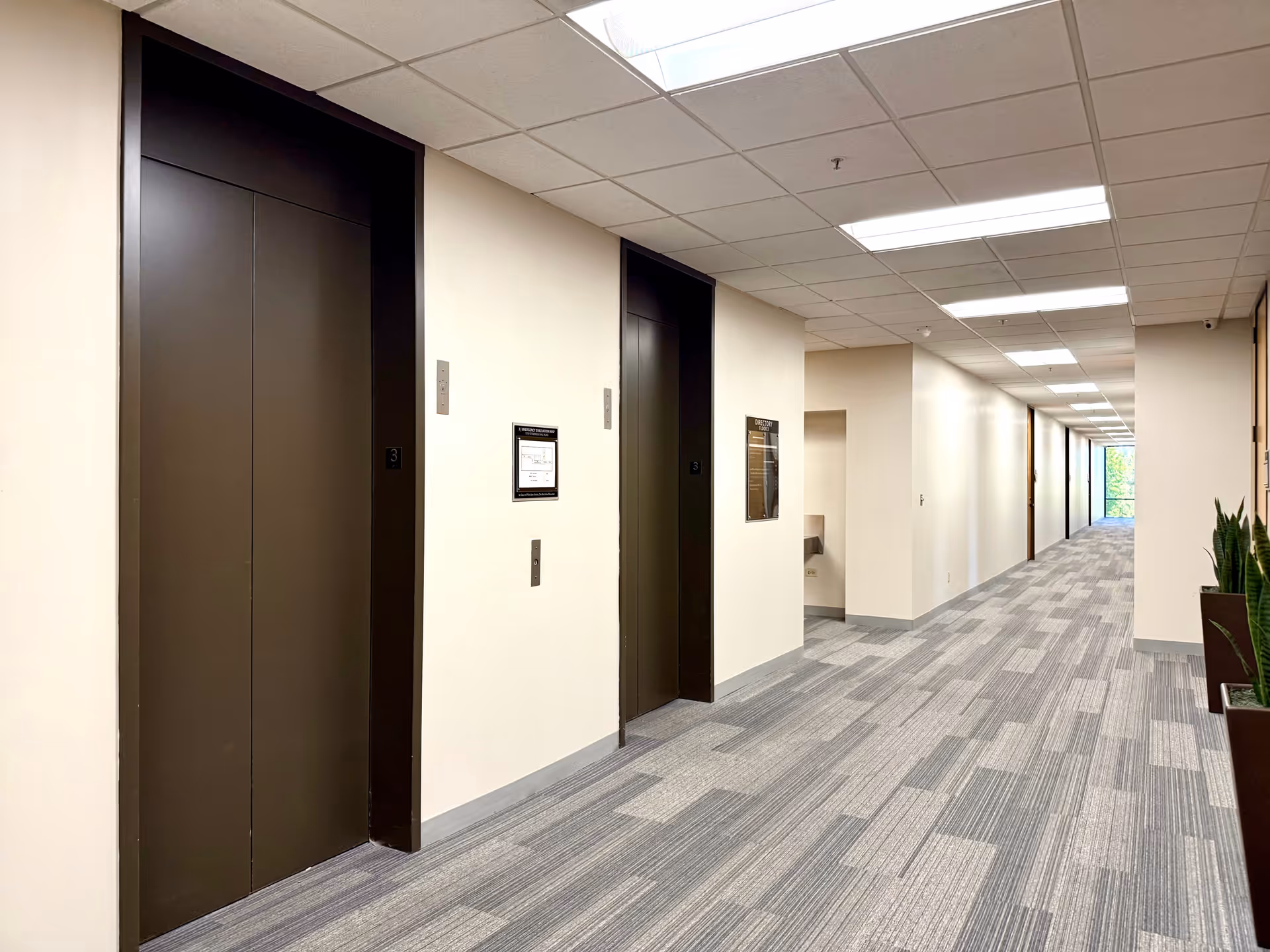 A bright institutional hallway with elevators, wall signs, recessed lighting, and a potted plant.