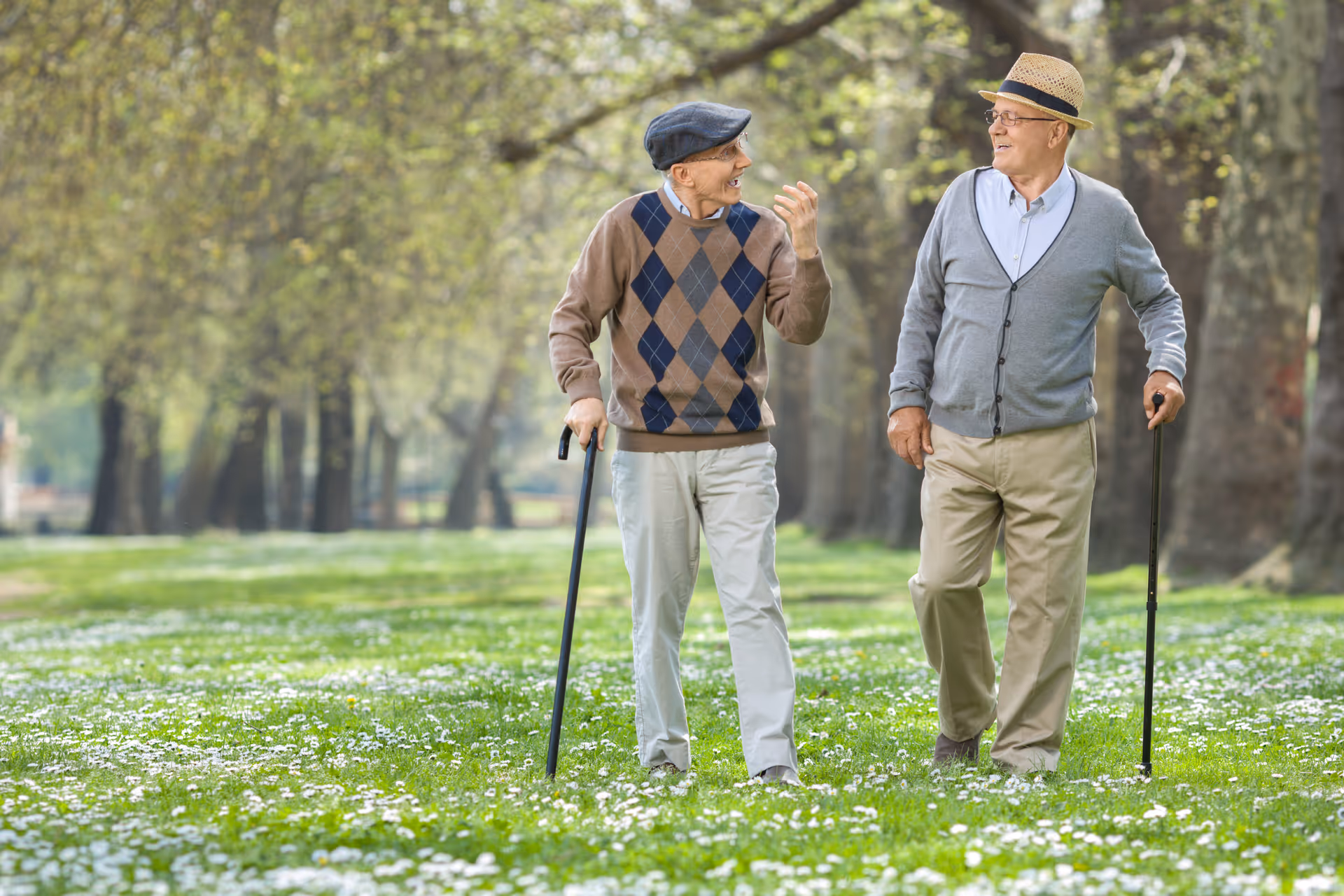 Two elderly men in hats walk and chat in a sunny park with walking canes.
