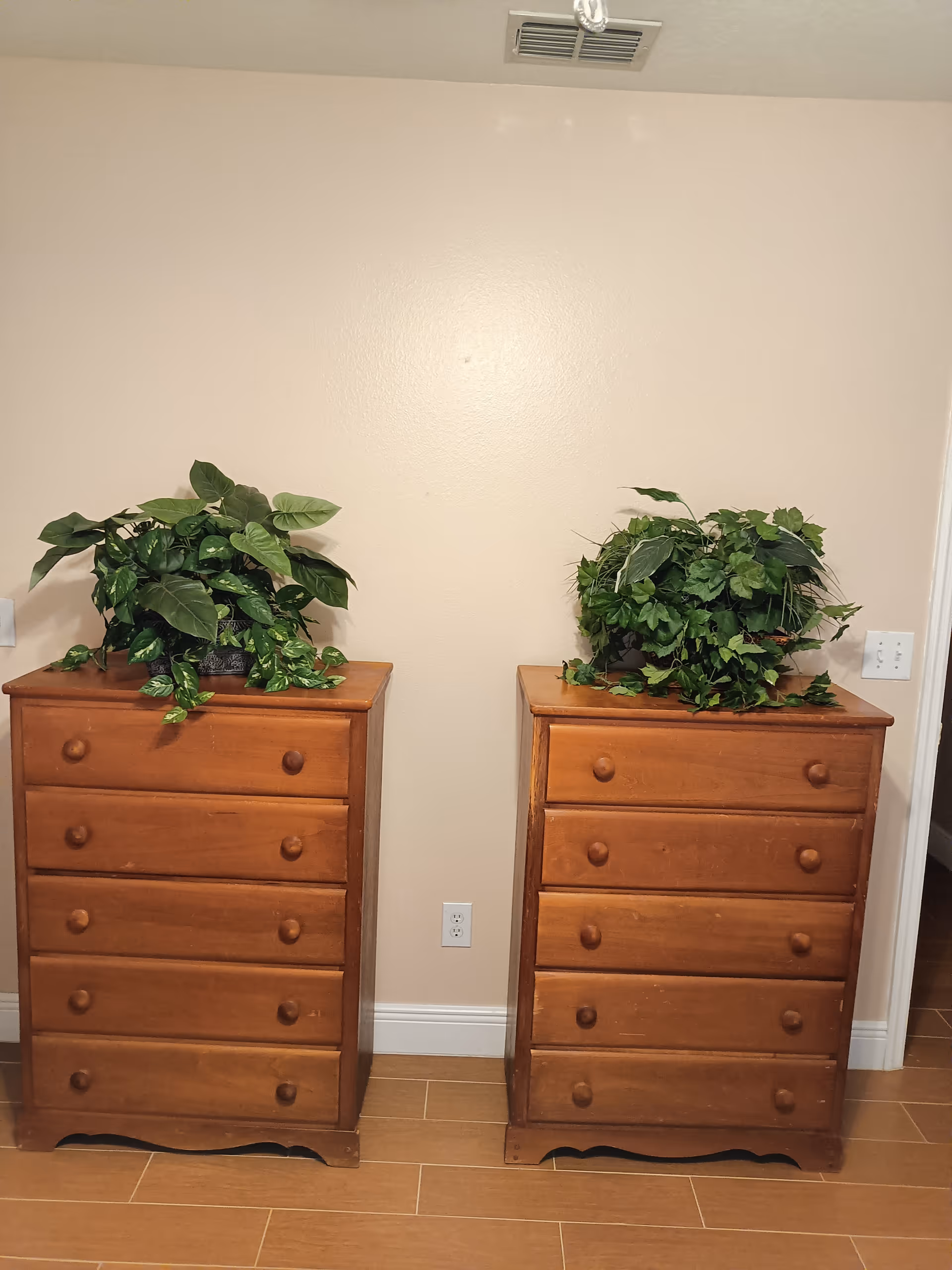 Two wooden dressers with leafy plants atop sit against a beige wall.
