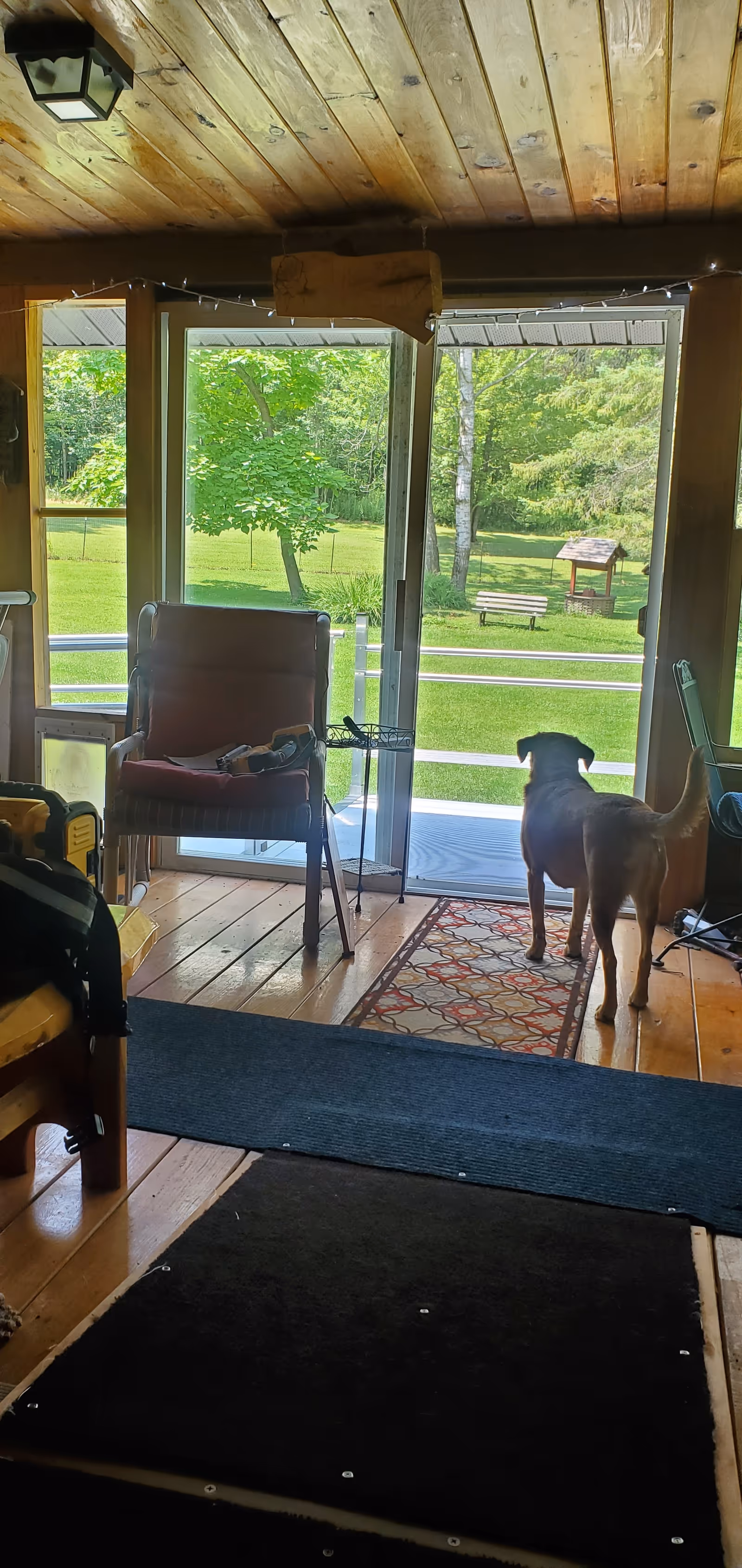 Indoor living room with a chair and a dog by glass doors overlooking a green yard