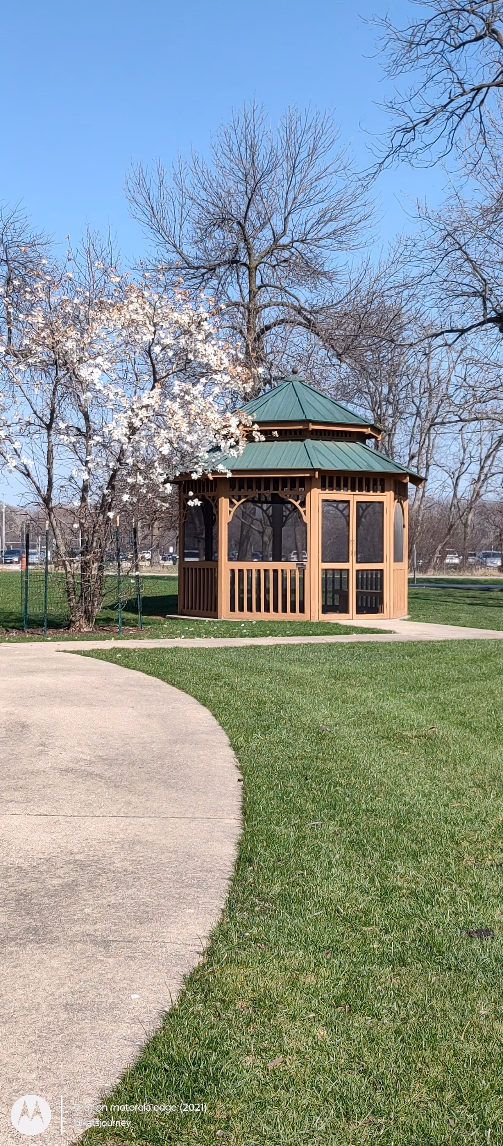 Wooden gazebo with green roof beside a blossoming tree in a sunny park.