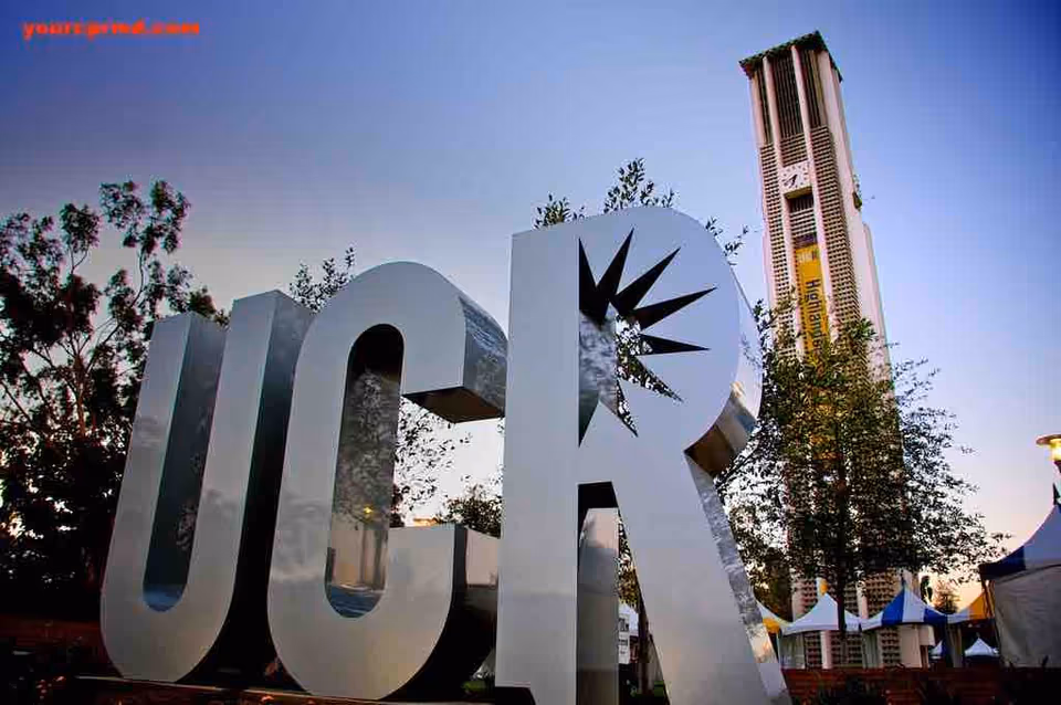 Large outdoor UCR sculpture letters with a tall tower behind and trees.