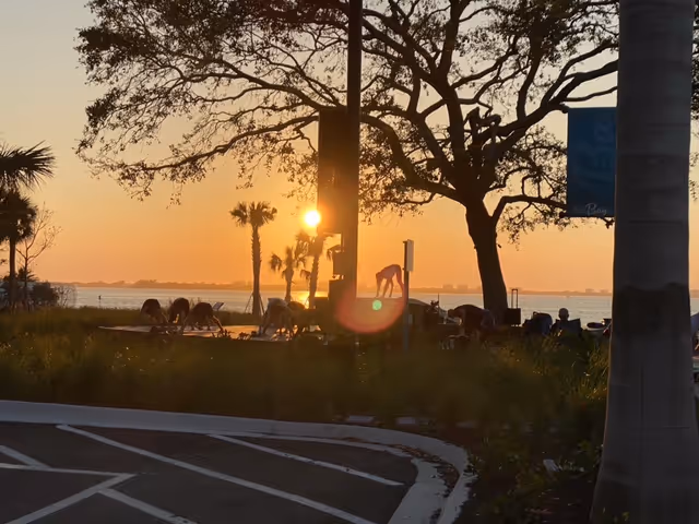 Sunset over a beachside park with silhouettes of people near the water.