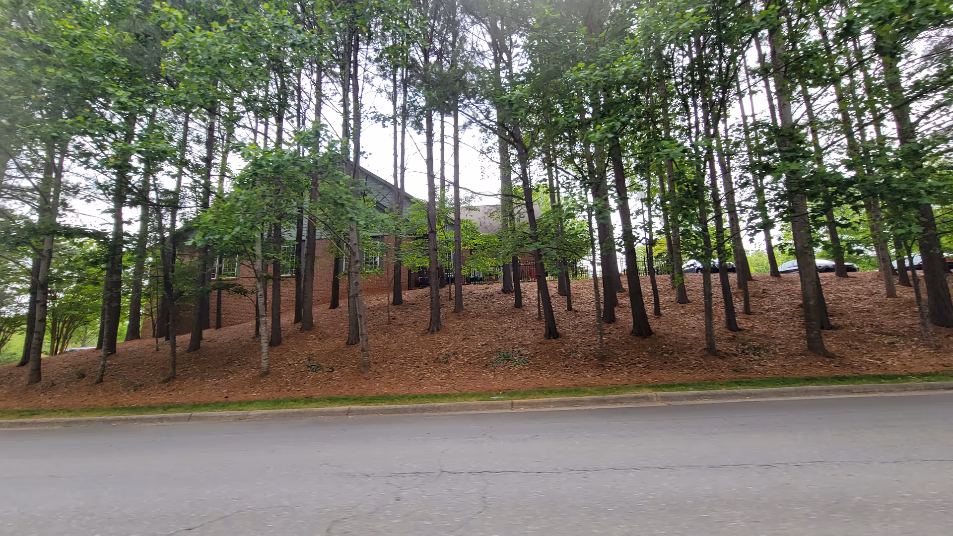 Exterior view of Trellis Supportive Care building obscured by tall trees along a road