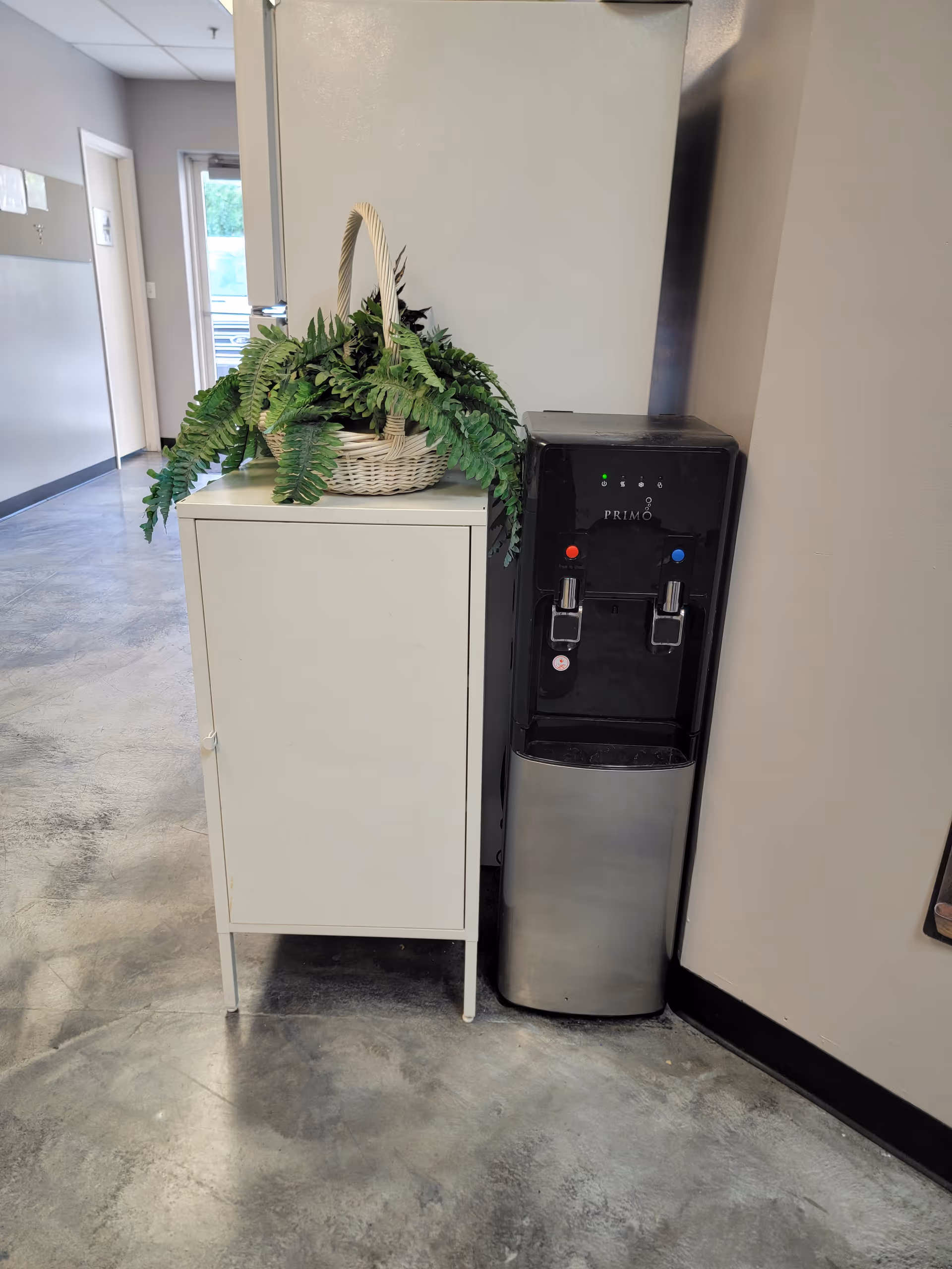 White cabinet with a basket of ferns beside a Primo water cooler in a hallway.