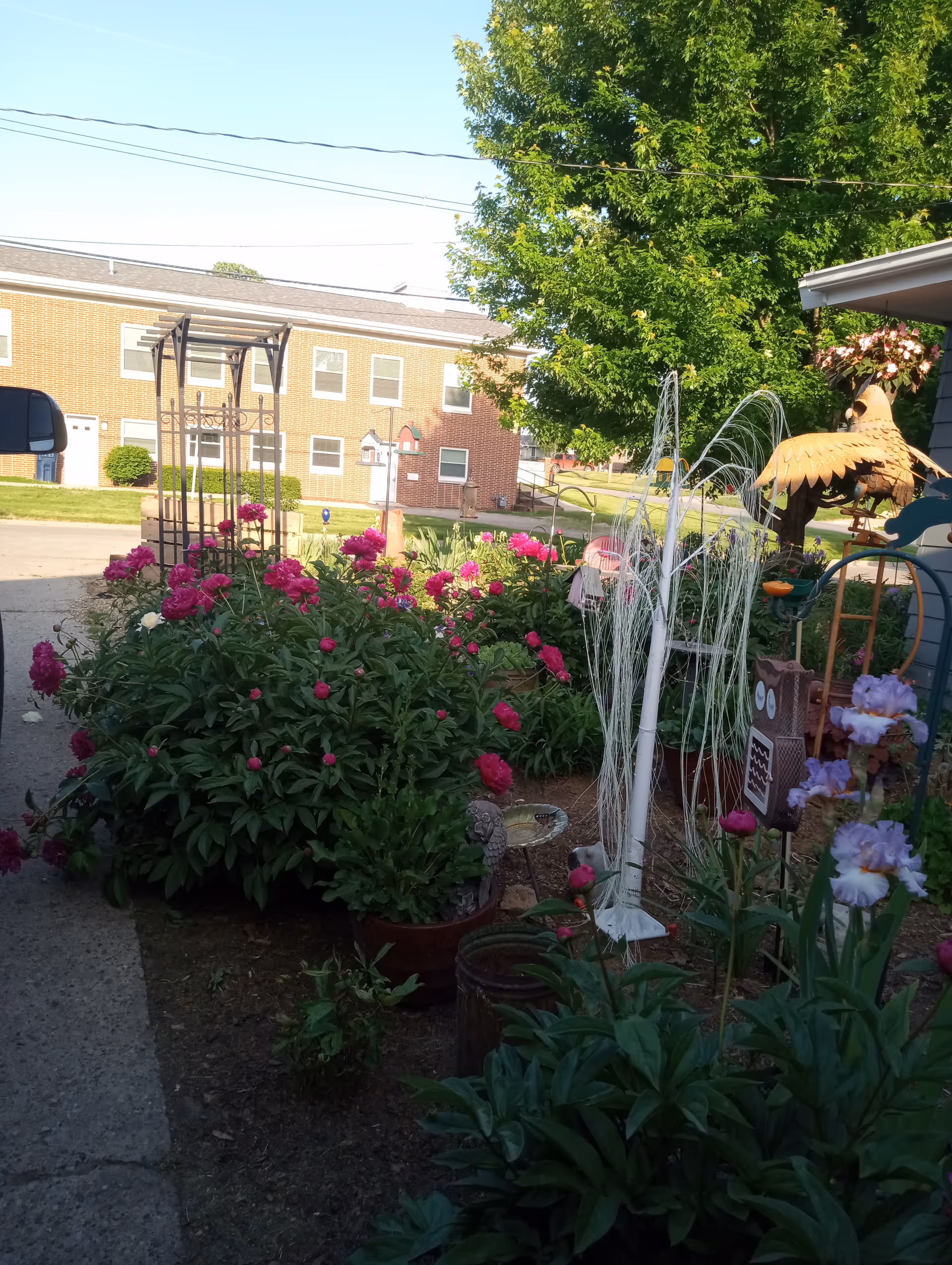 Flower-filled garden in front of a brick senior care facility with trees.