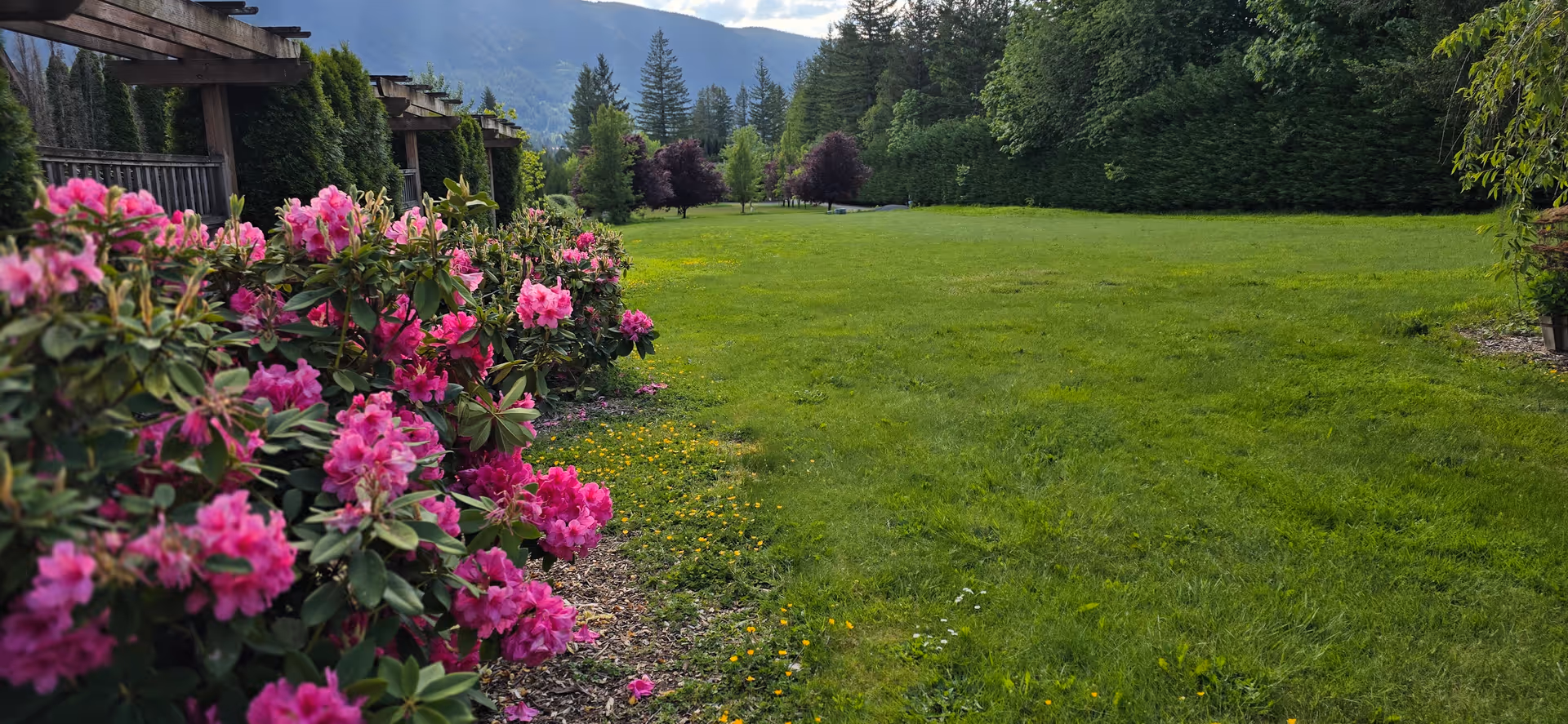 Lush green lawn to the left with pink flowers and trees under a mountainous backdrop.