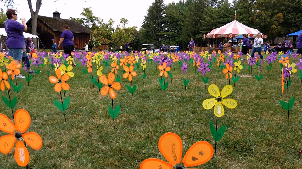 Outdoor festival scene with bright pinwheels in a grassy field and people in purple shirts.