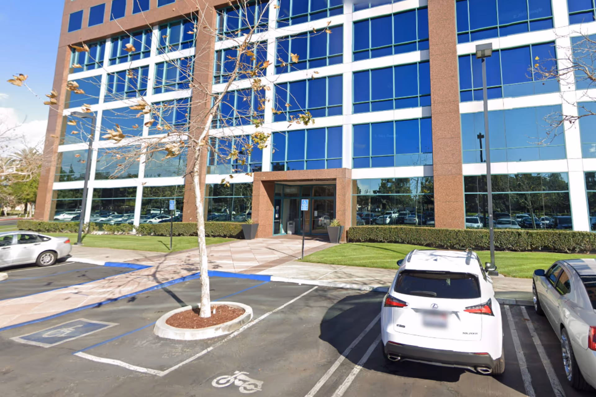 Modern glass-front office building with a paved parking lot and a lone tree.