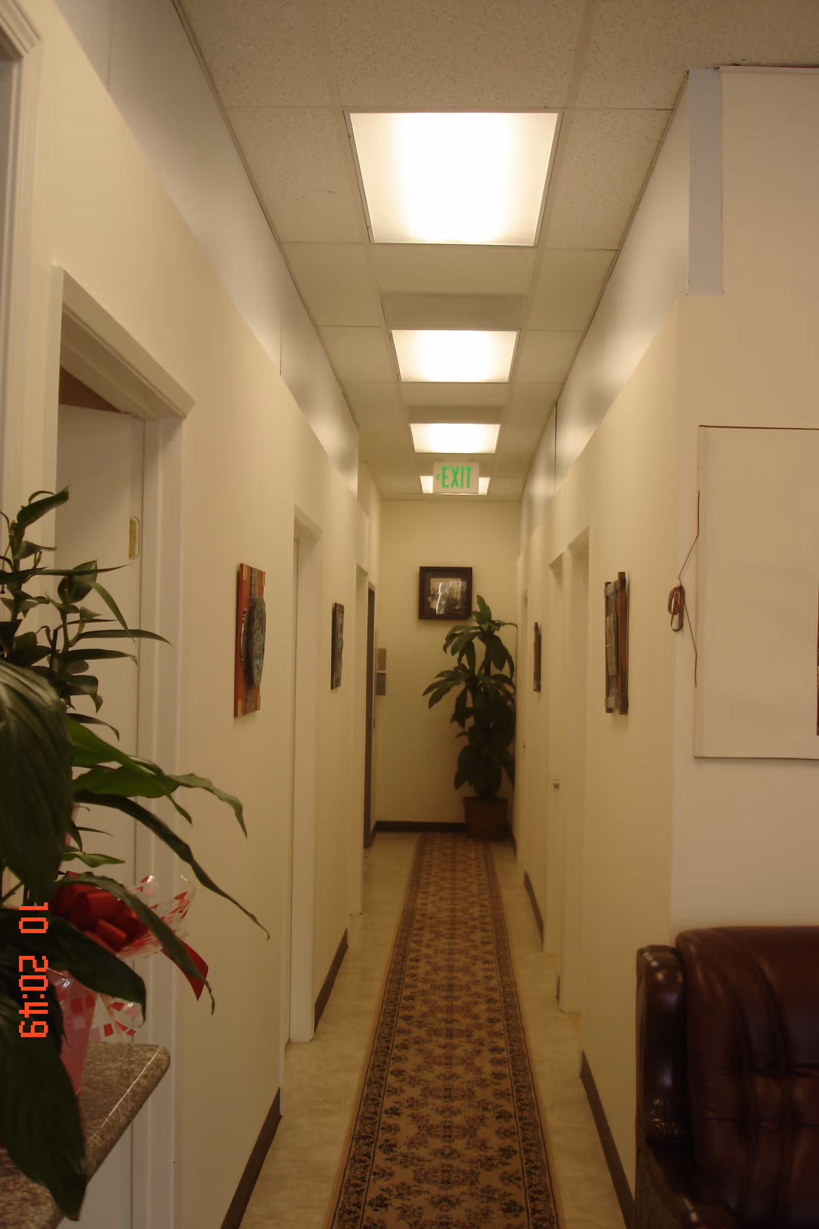 A long, well-lit interior hallway with carpet, plants, and framed art.