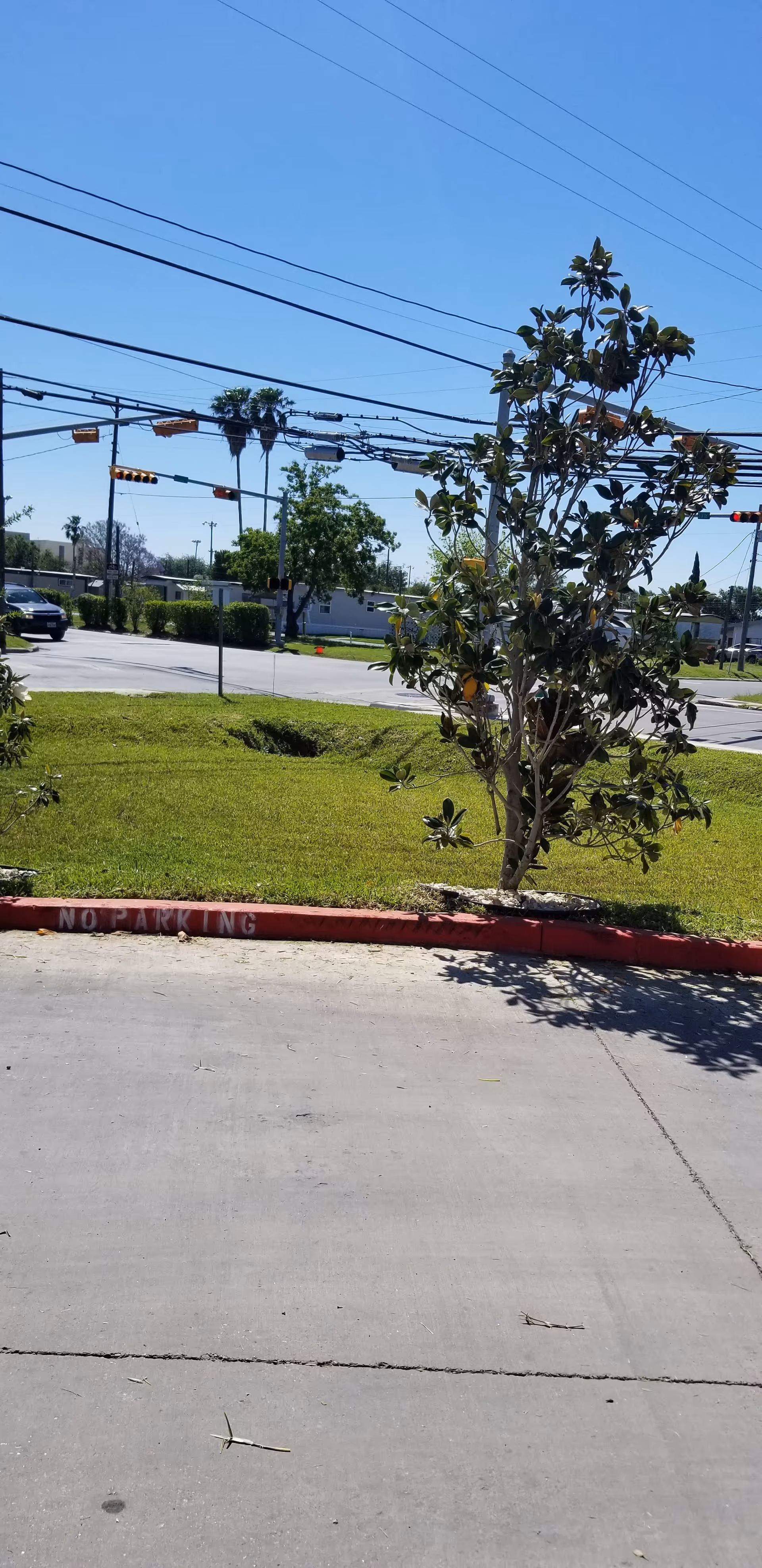 Exterior street view with trees, power lines, and a no parking curb.