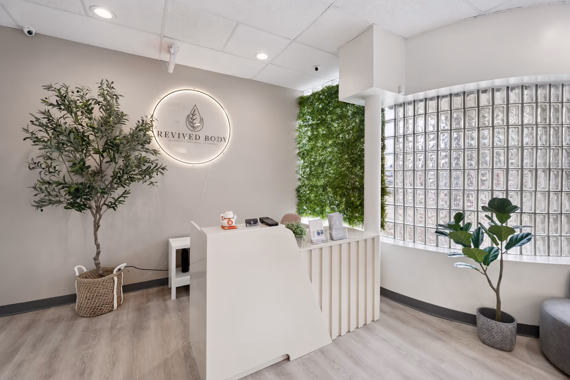 Modern reception desk with logo, plants, and glass block wall in a clinic lobby.