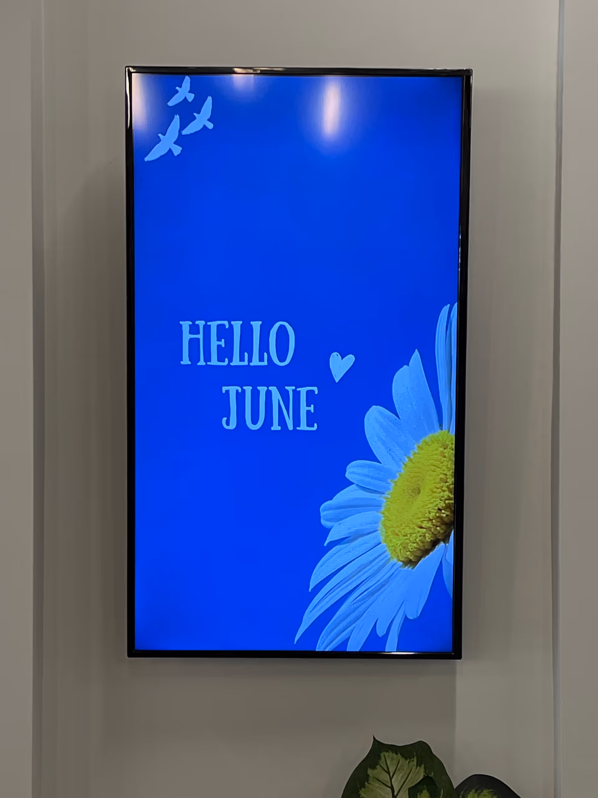 Blue digital sign reading HELLO JUNE with a daisy on the wall.