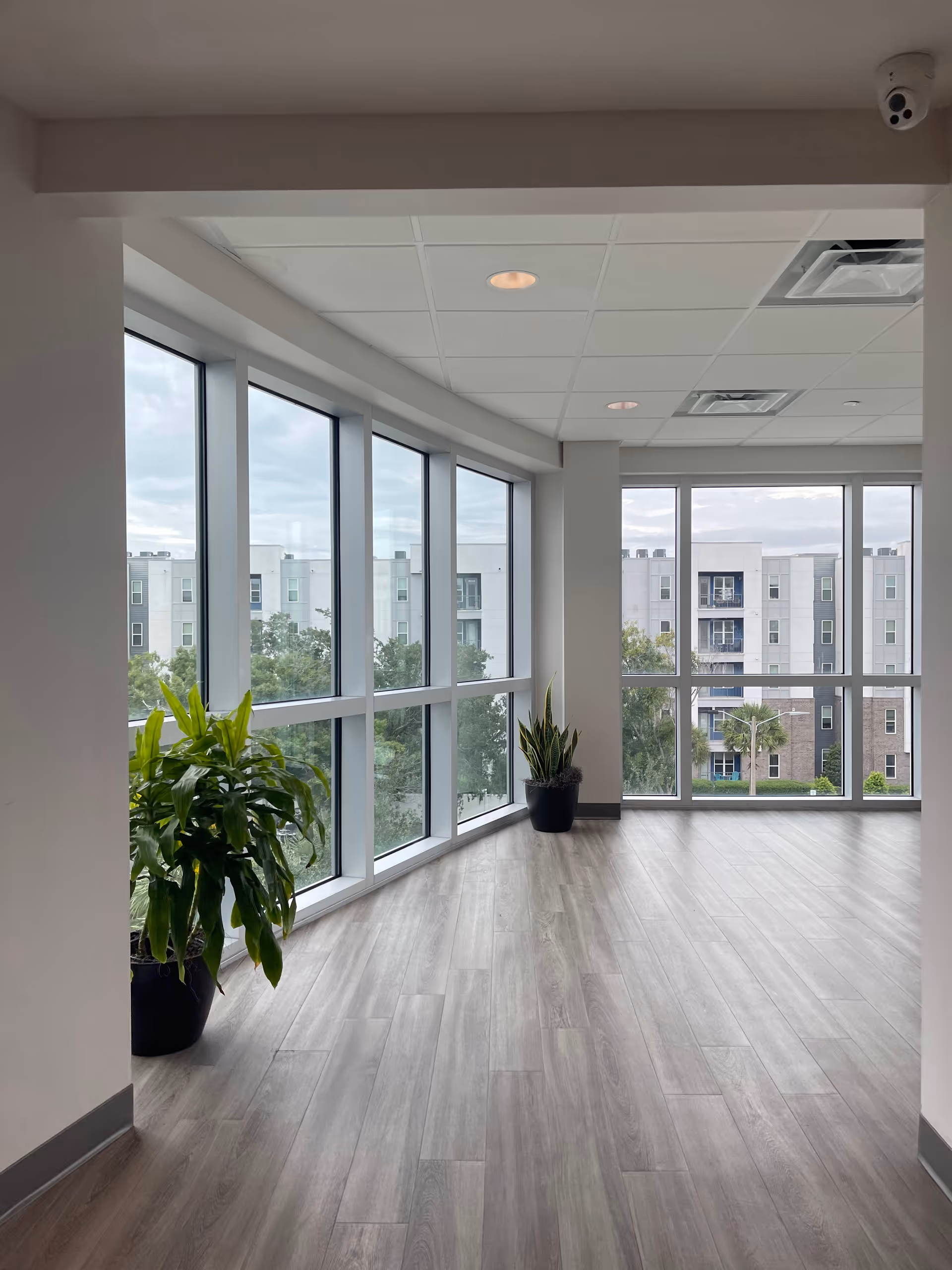 Bright interior corridor with large windows, wood-tone floor, and potted plants.