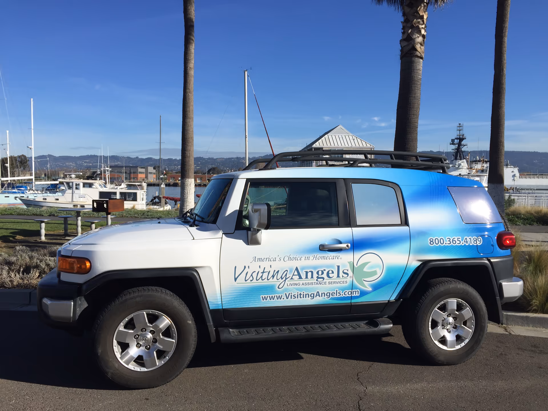 A blue-and-white Visiting Angels service vehicle parked by a marina under palm trees.