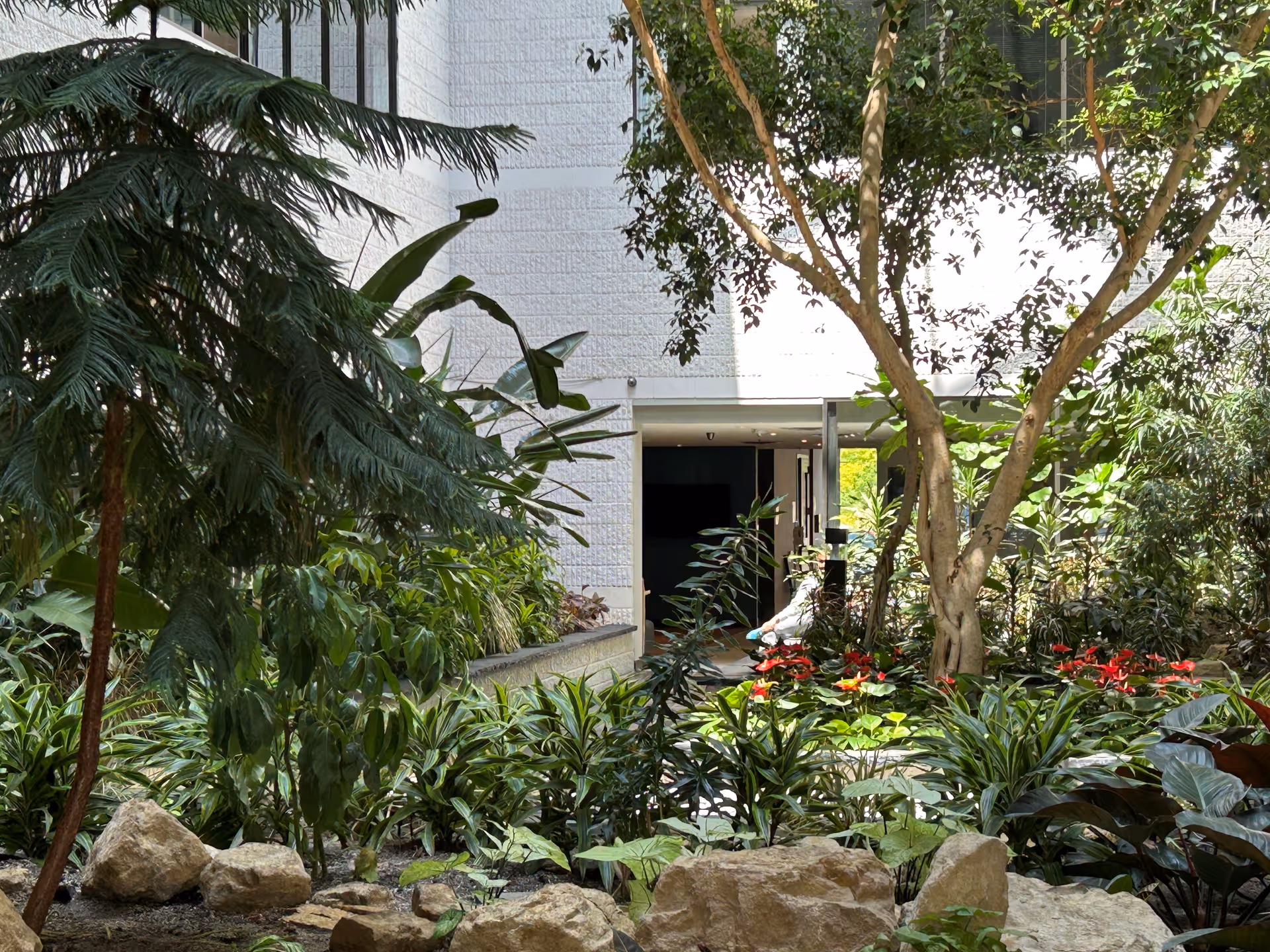 Lush courtyard garden surrounds a building entrance with tropical plants and rocks