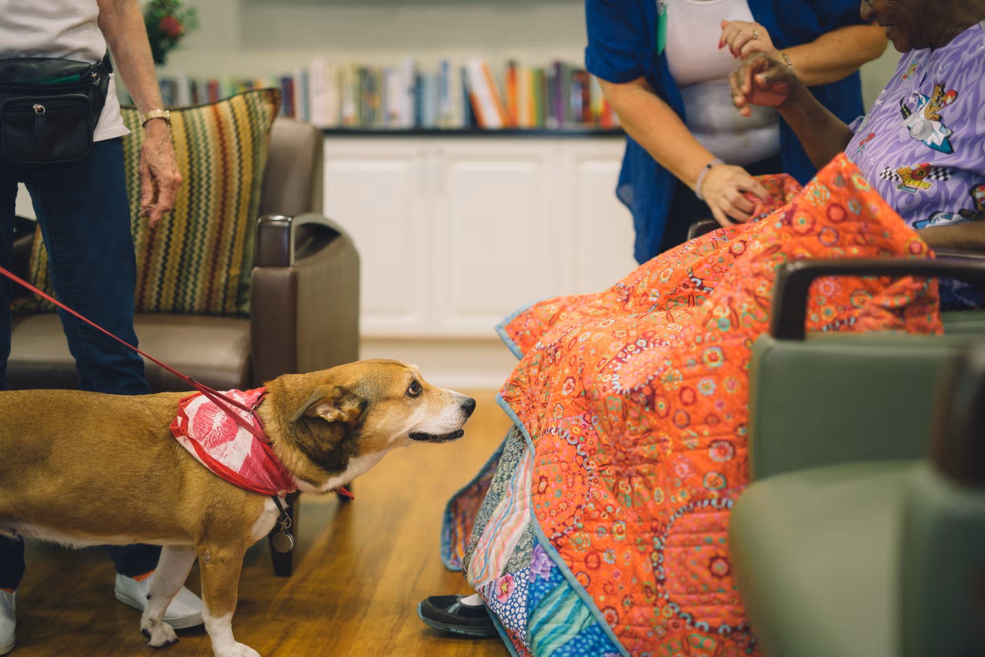 Dog on a leash interacts with a resident covered by a colorful quilt.