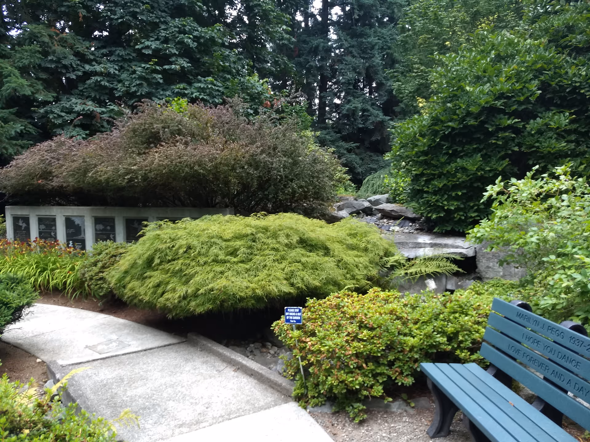 Well-maintained garden with shrubs, rocks, and a blue bench beside a stone path.