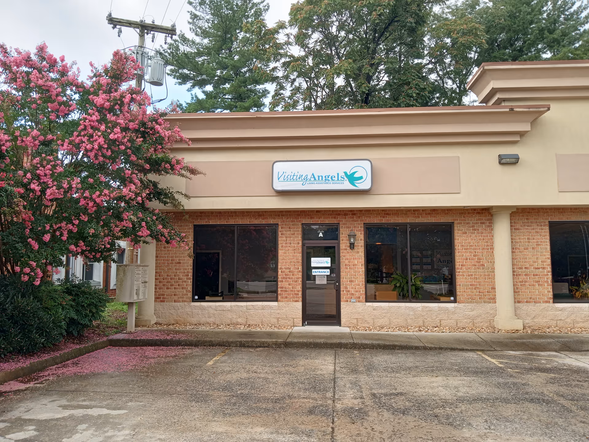 Front exterior of Visiting Angels Senior Home Care building with flowering tree.
