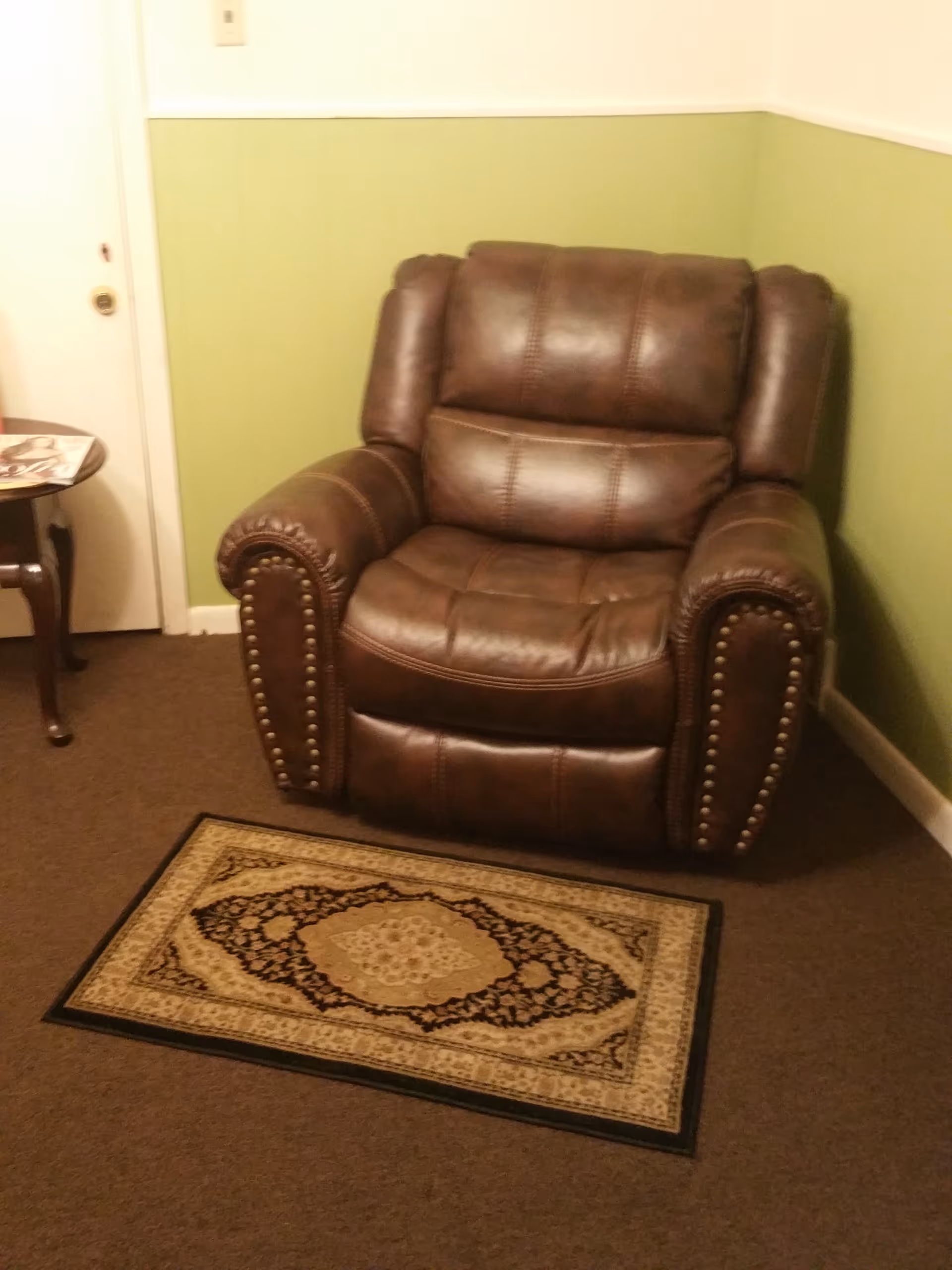 Brown leather armchair in a small lounge with a patterned rug.