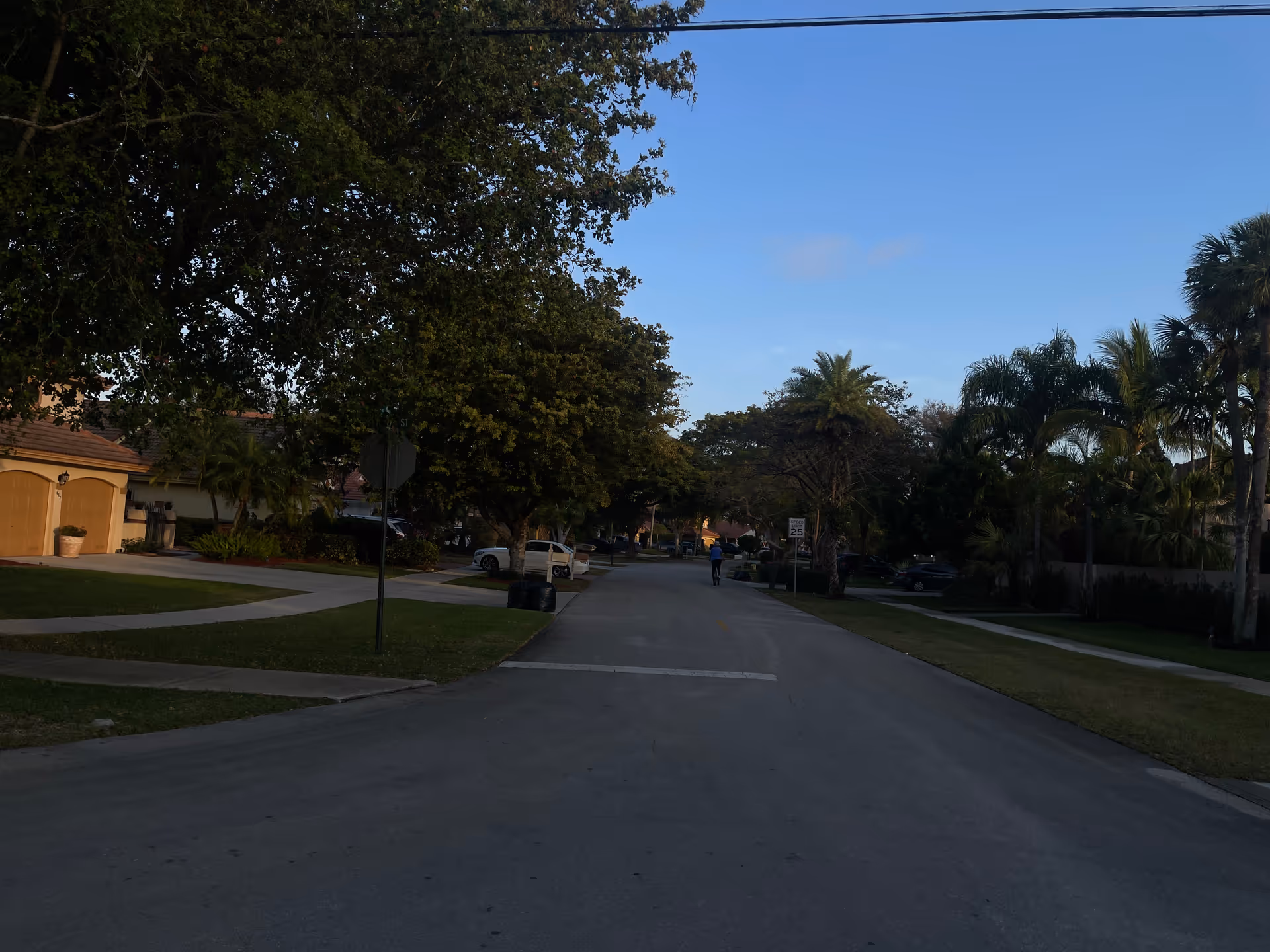 A quiet suburban street within a senior living community, lined with trees and sidewalks.
