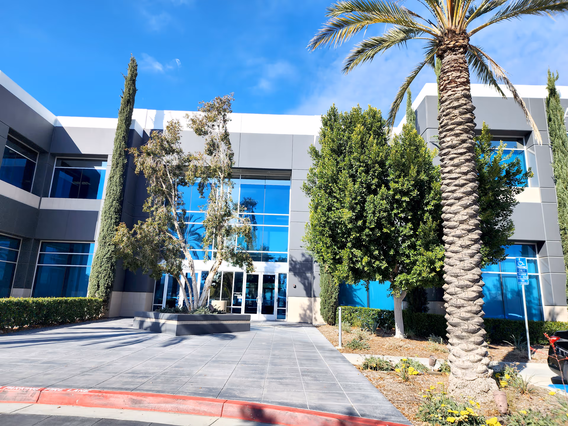 Modern building exterior with glass doors, palm trees, and manicured landscaping at entrance.