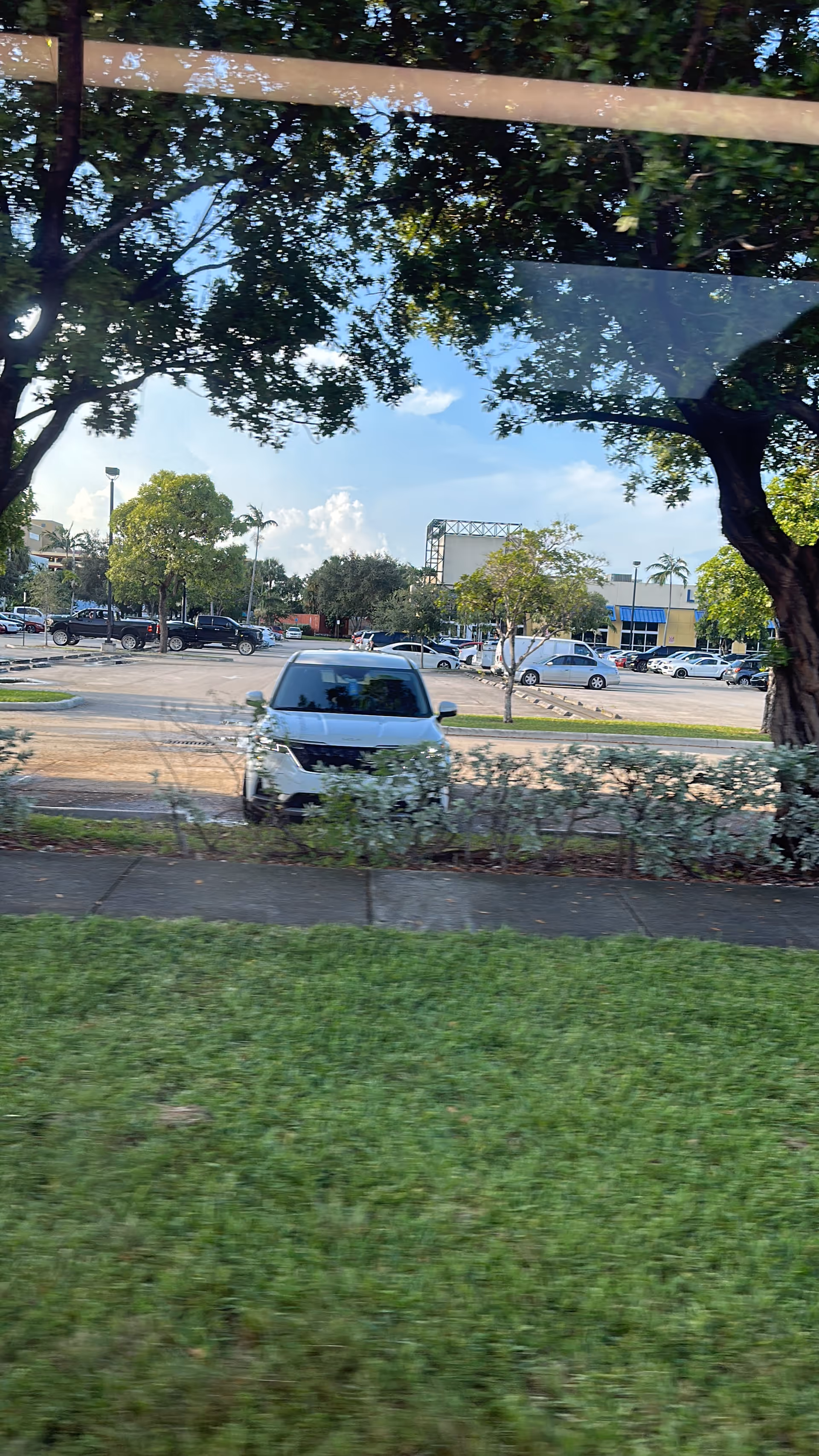 Parking lot with cars and trees outside a commercial building