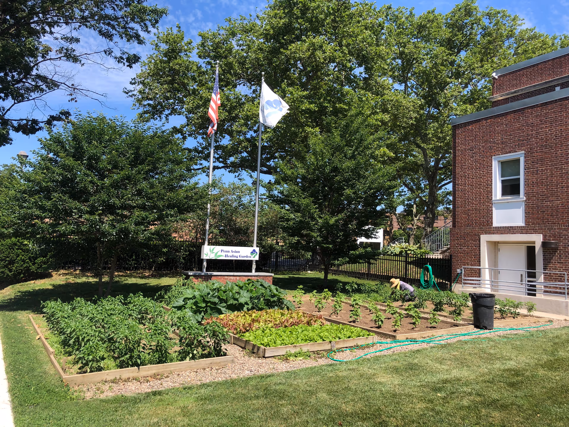 Outdoor garden area with raised beds, trees, flags, and a Penn Asian Healing Garden sign.