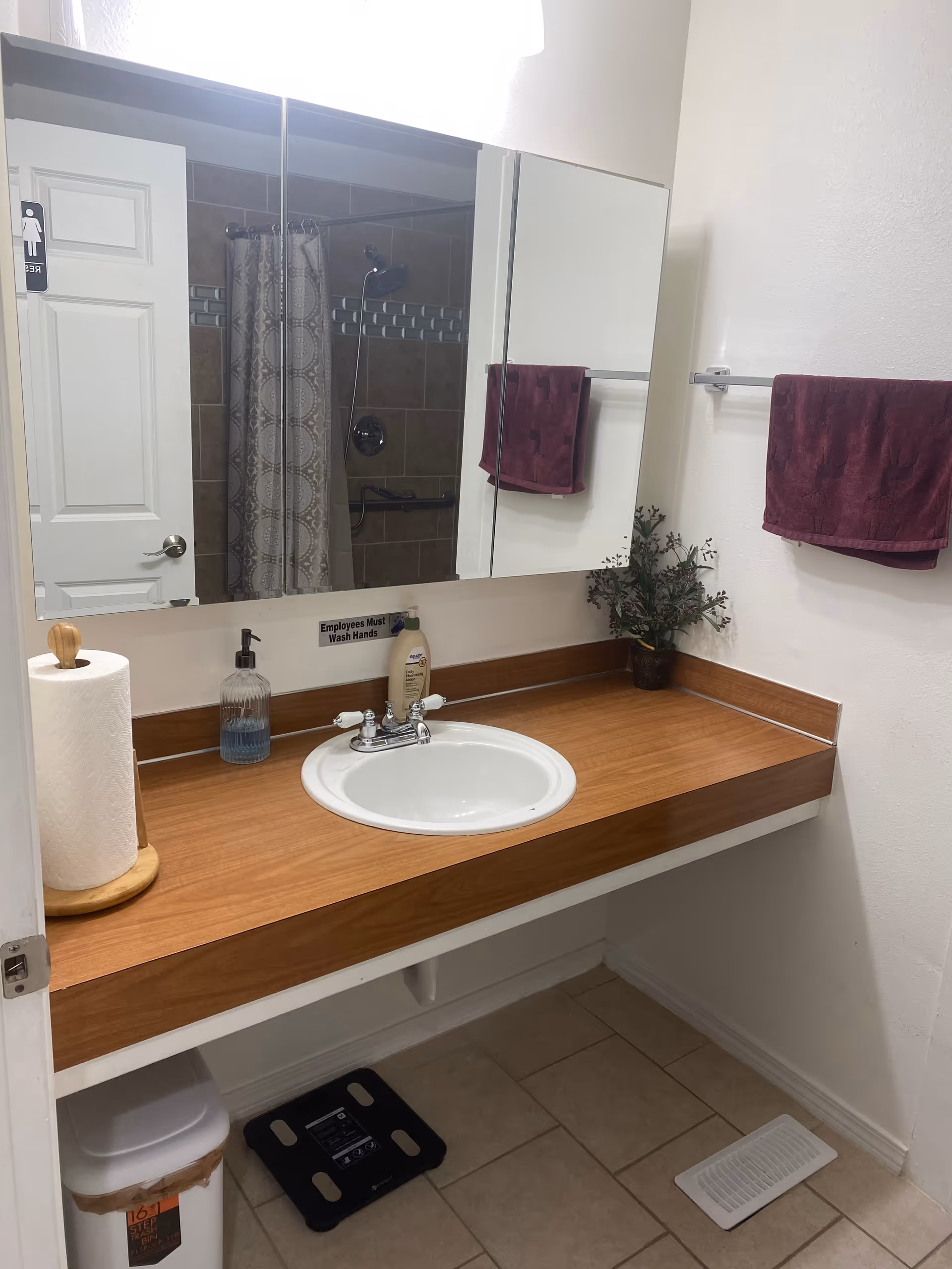Well-lit bathroom with sink, mirror cabinet, towels, shower curtain, a plant, and handwashing sign.