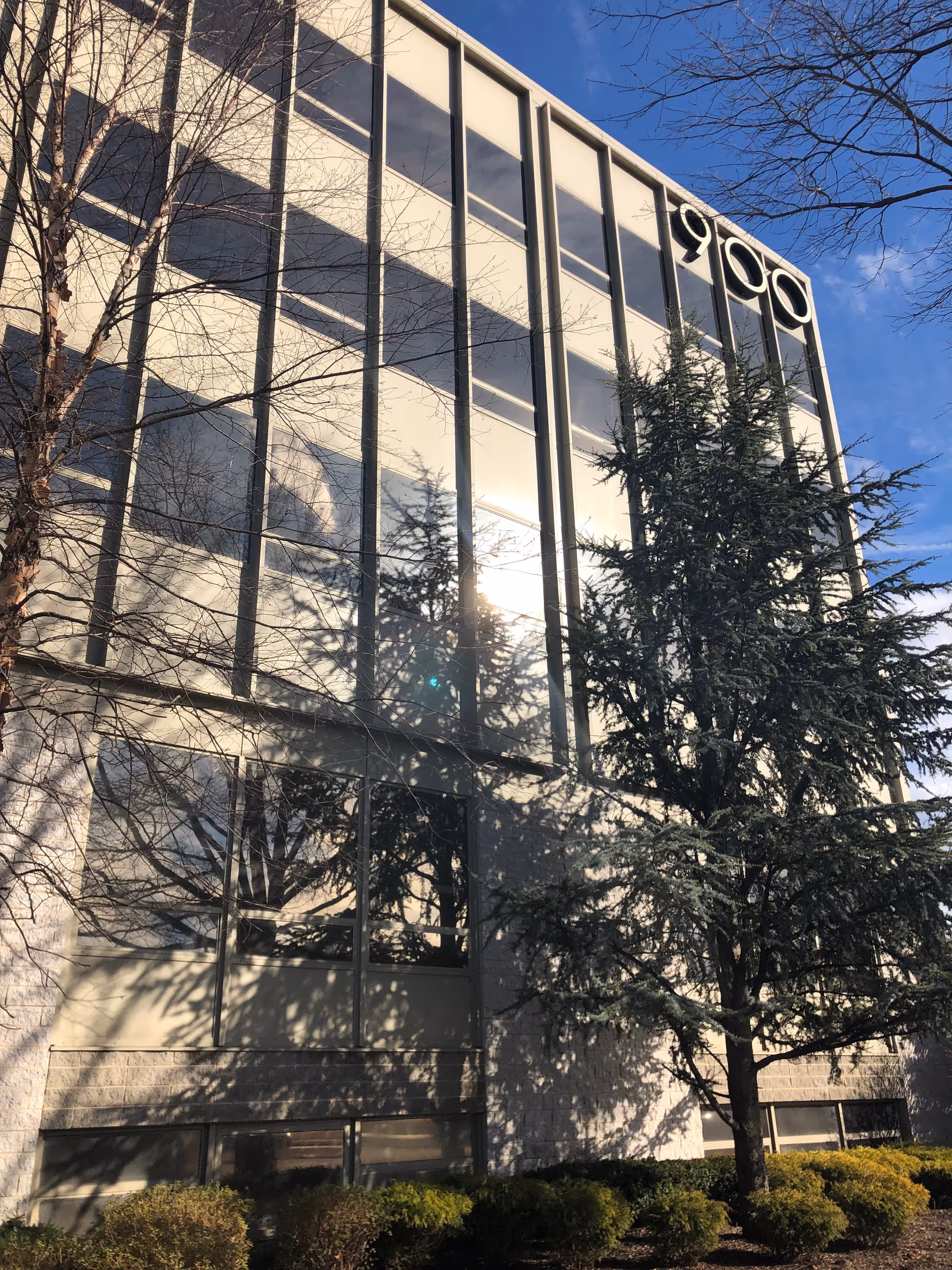 Glass-fronted building exterior with large windows, trees, and blue sky.